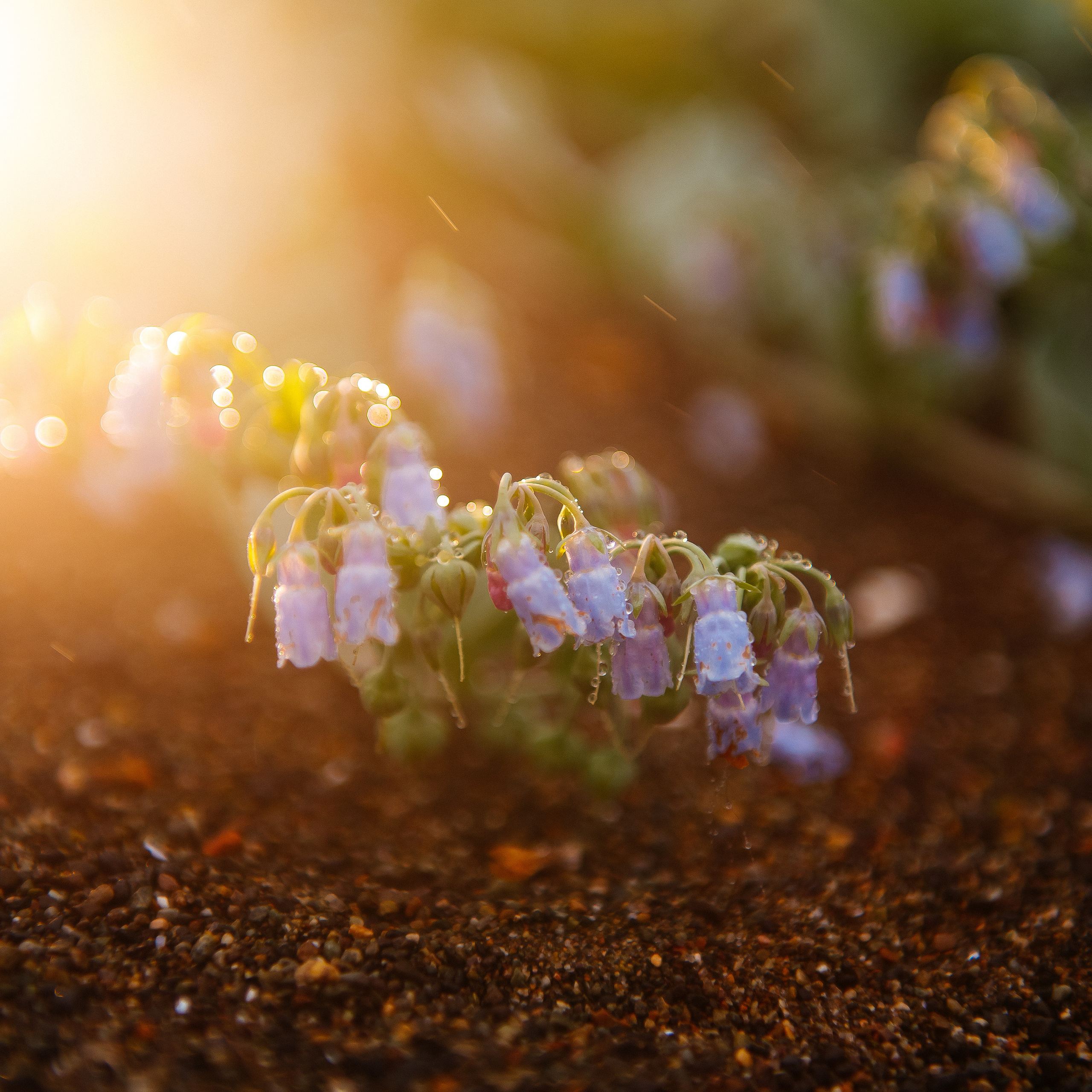 Отзывы о фотографе из Магадана Сандре Смирновой. Свадебный и семейный фотограф в Магадане Сандра Смирнова