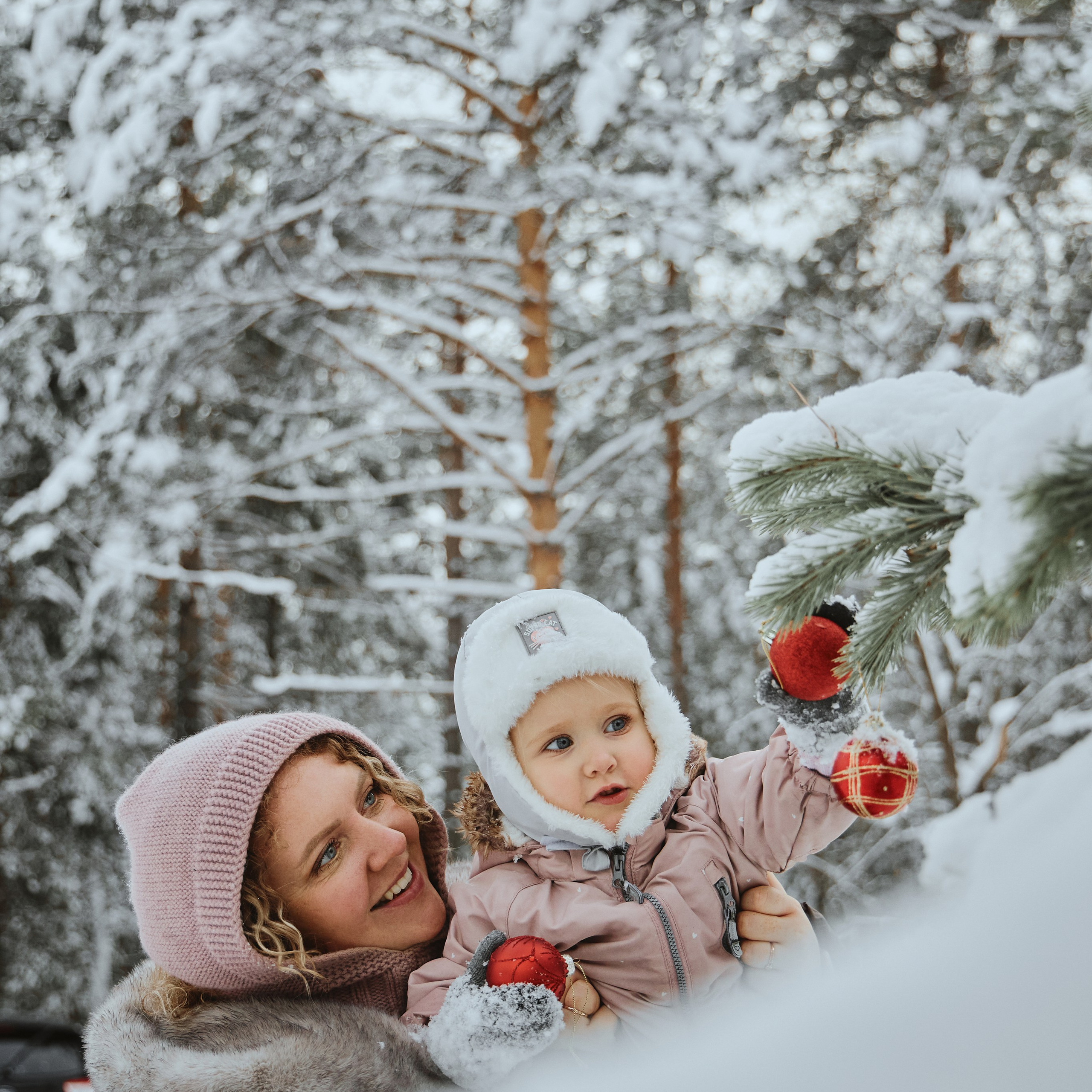 Зимняя прогулка
