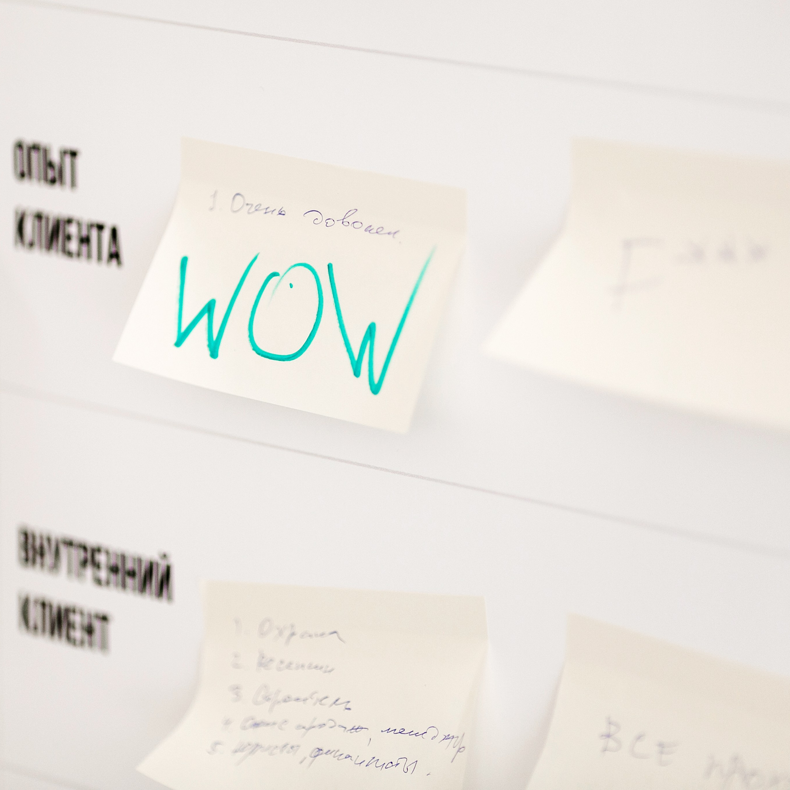 Выездной коучинг на берегу Строгинской поймы