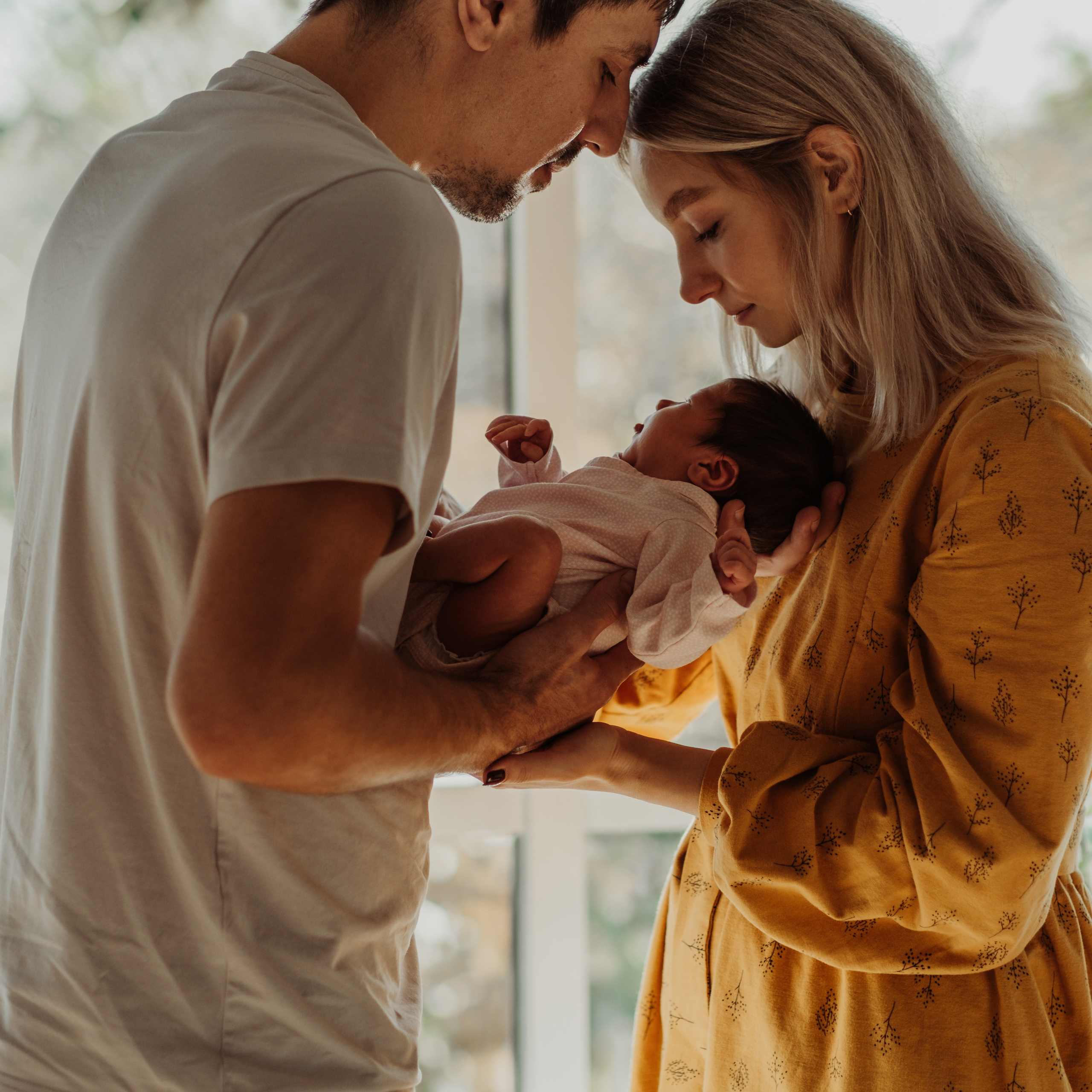 Привет Аврора