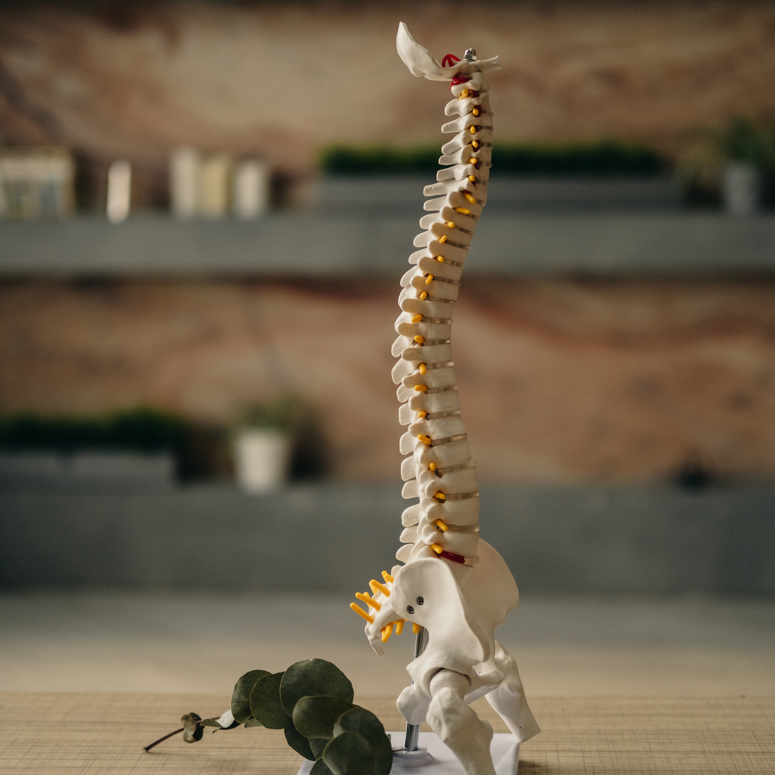 фотограф для контента в Москве