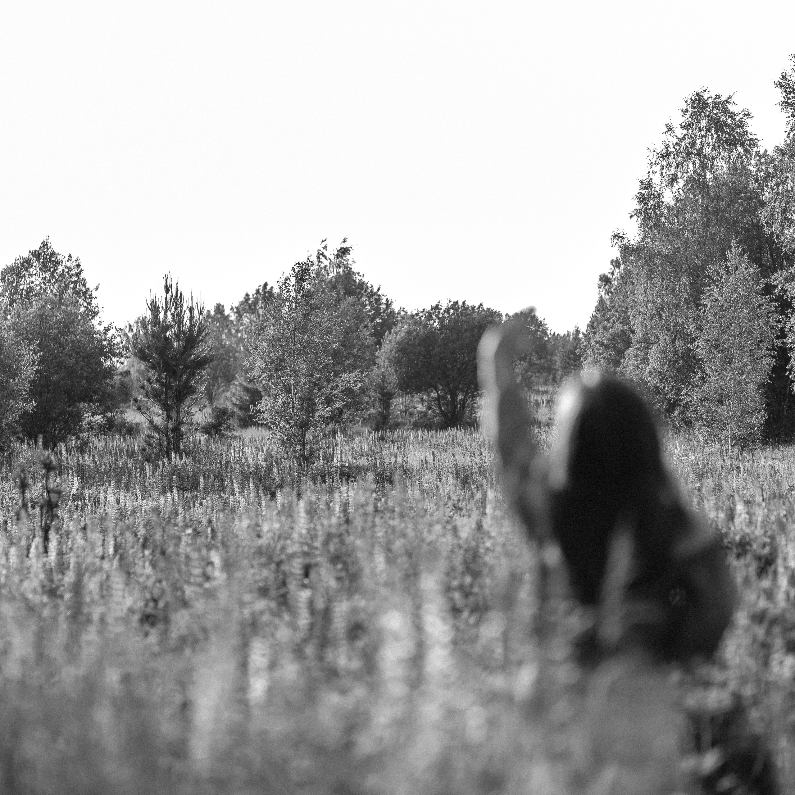 В поле с люпинами). Свадебный и семейный фотограф Можга-Ижевск Ксения Романова