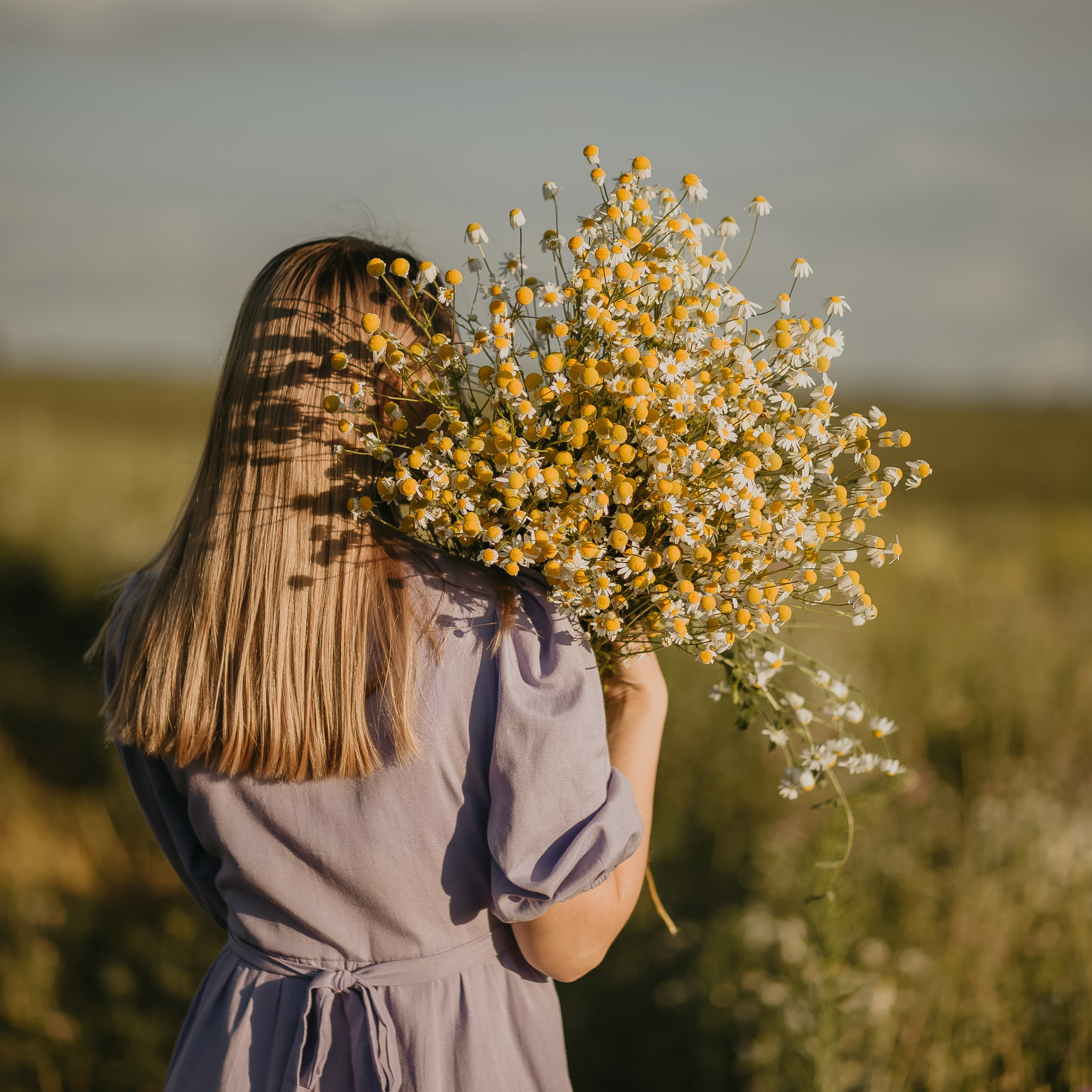 В ромашковых полях. Свадебный и семейный фотограф Можга-Ижевск Ксения Романова