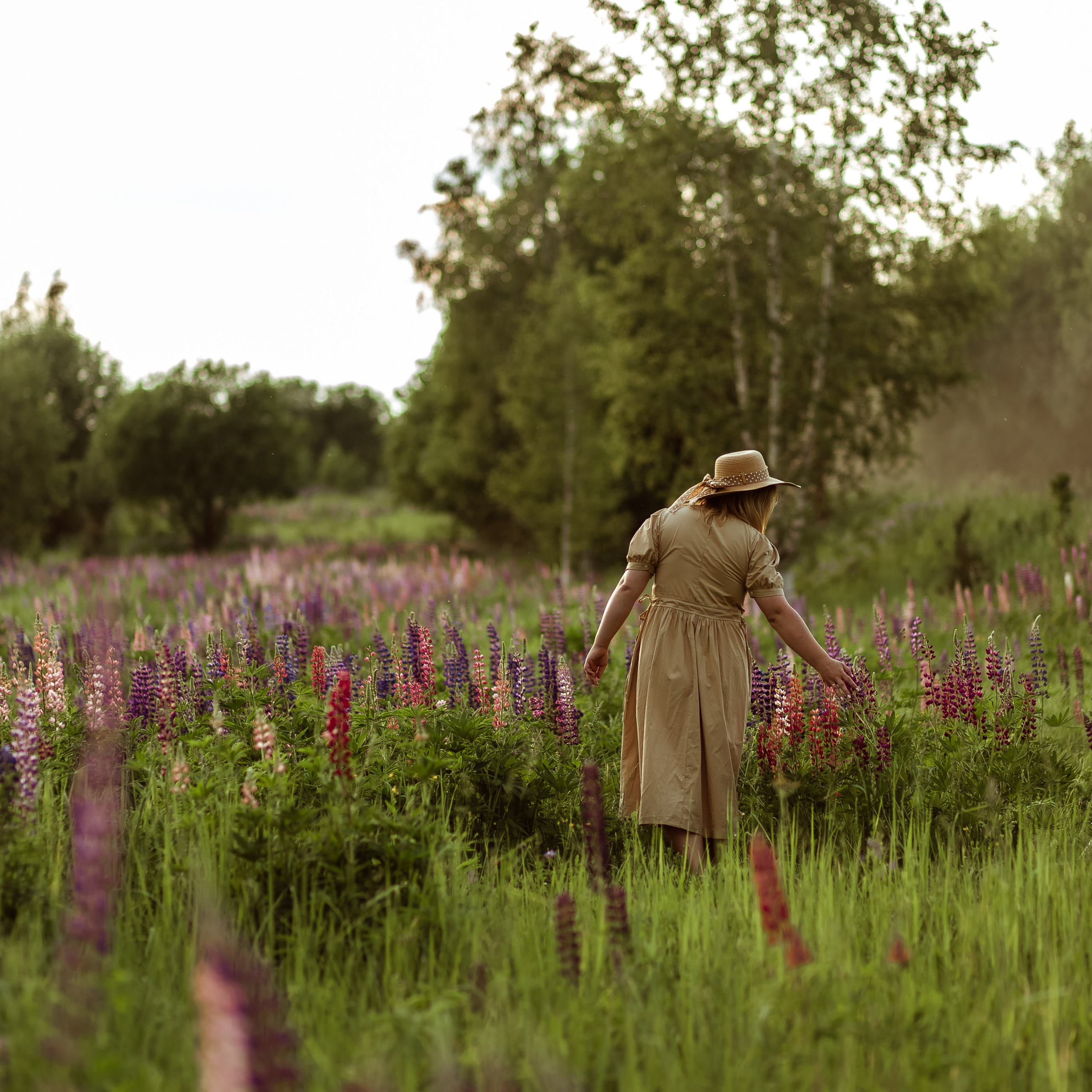 В поле с люпинами). Свадебный и семейный фотограф Можга-Ижевск Ксения Романова