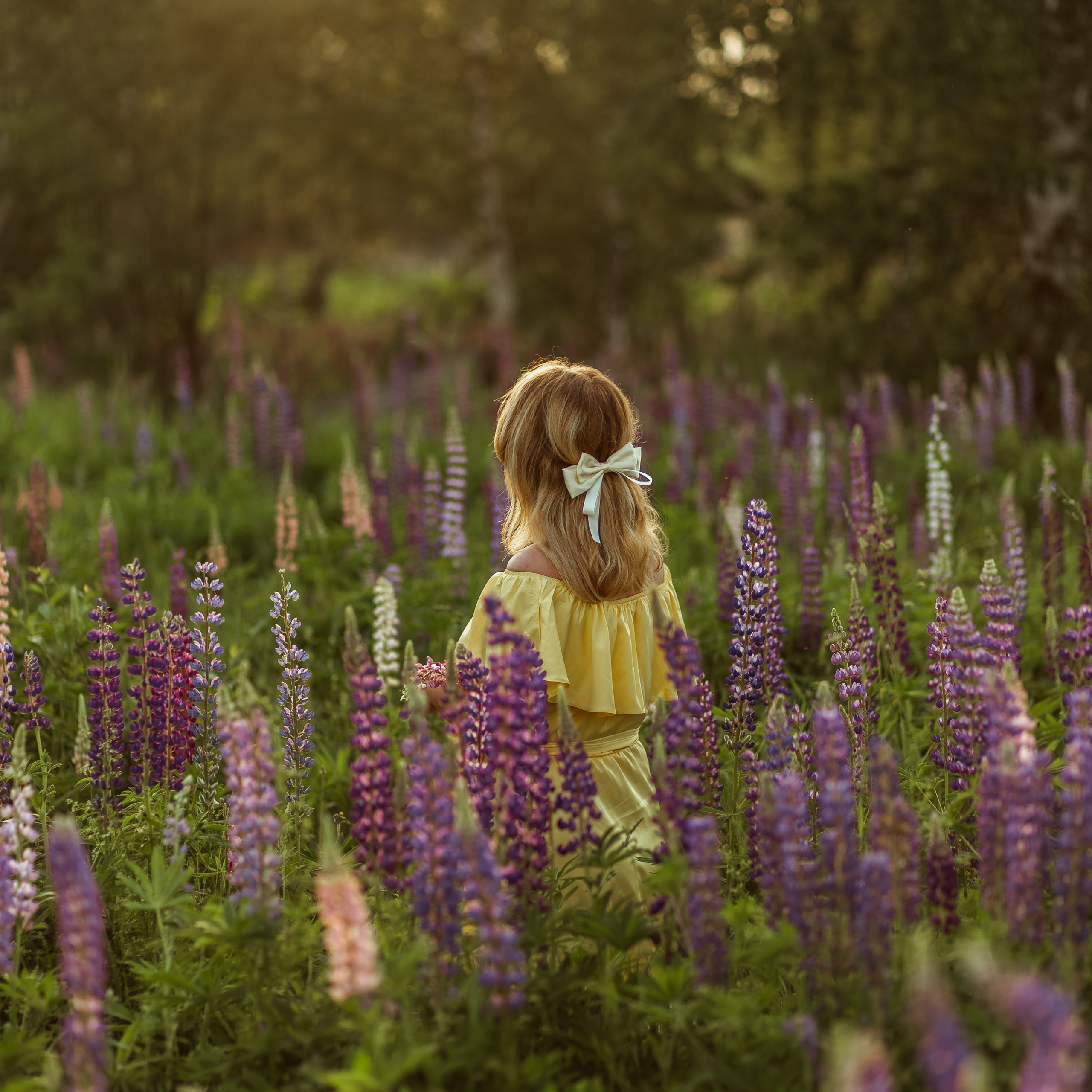 В поле с люпинами). Свадебный и семейный фотограф Можга-Ижевск Ксения Романова