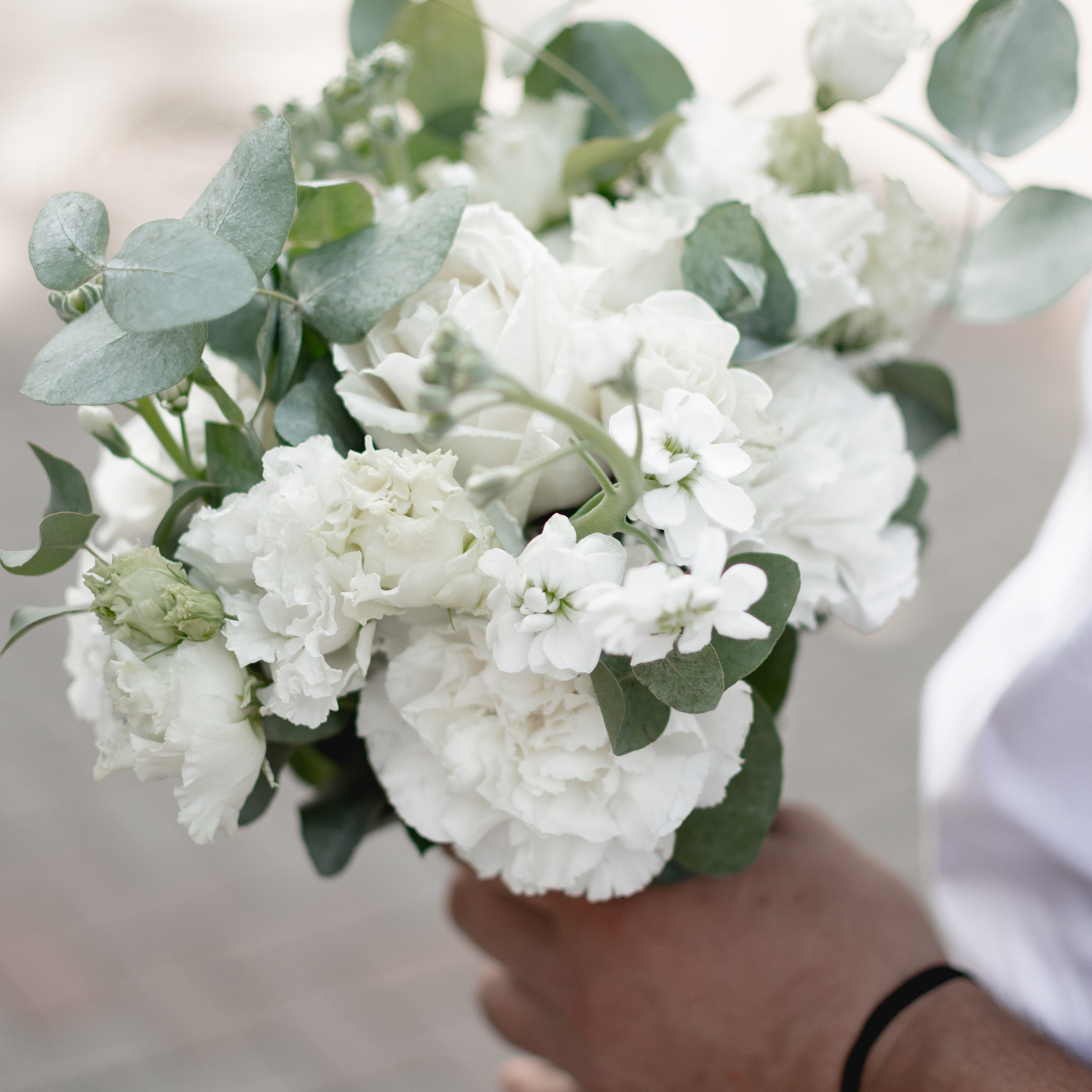 Отзывы. Марсель Marso