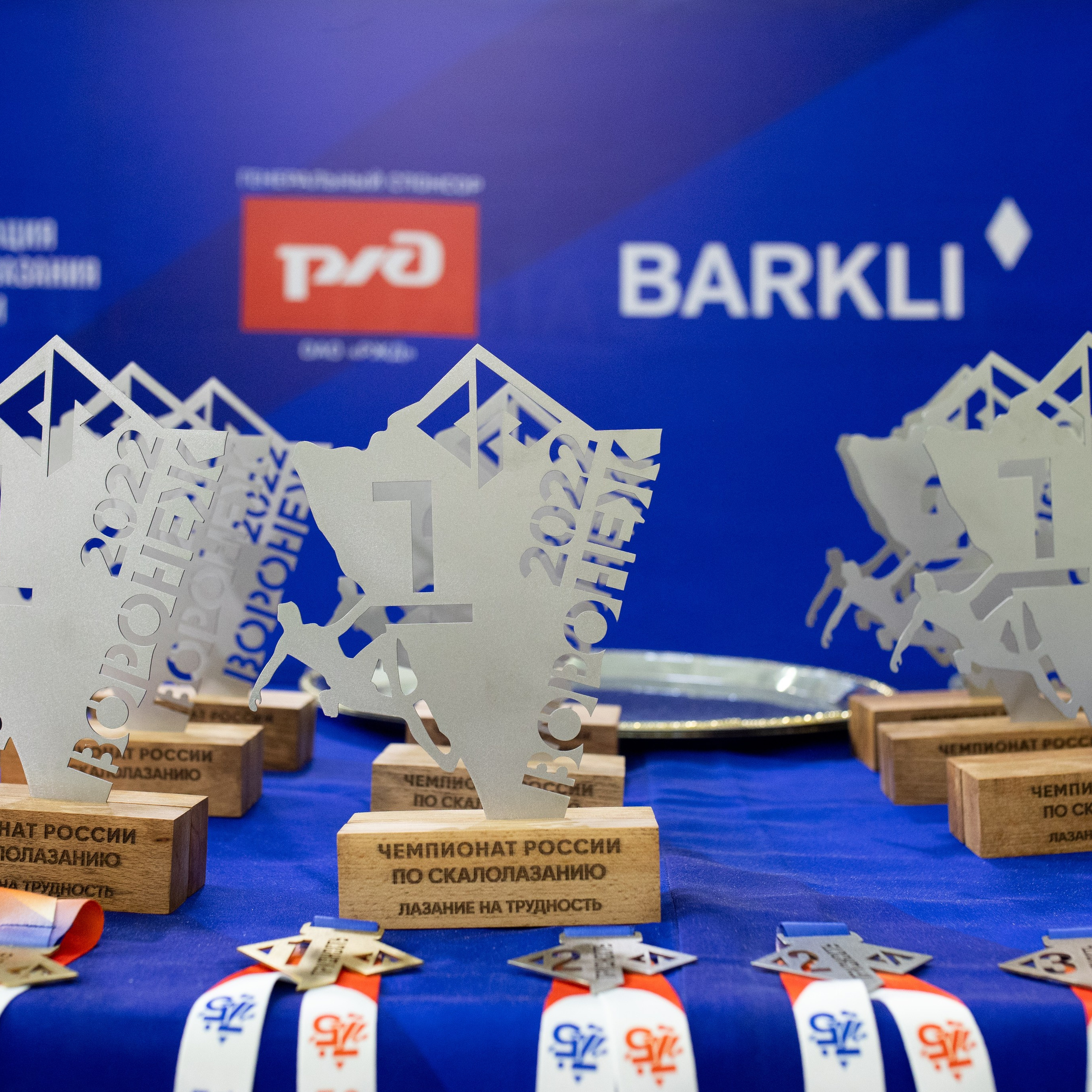 Чемпионат по скалолазанию