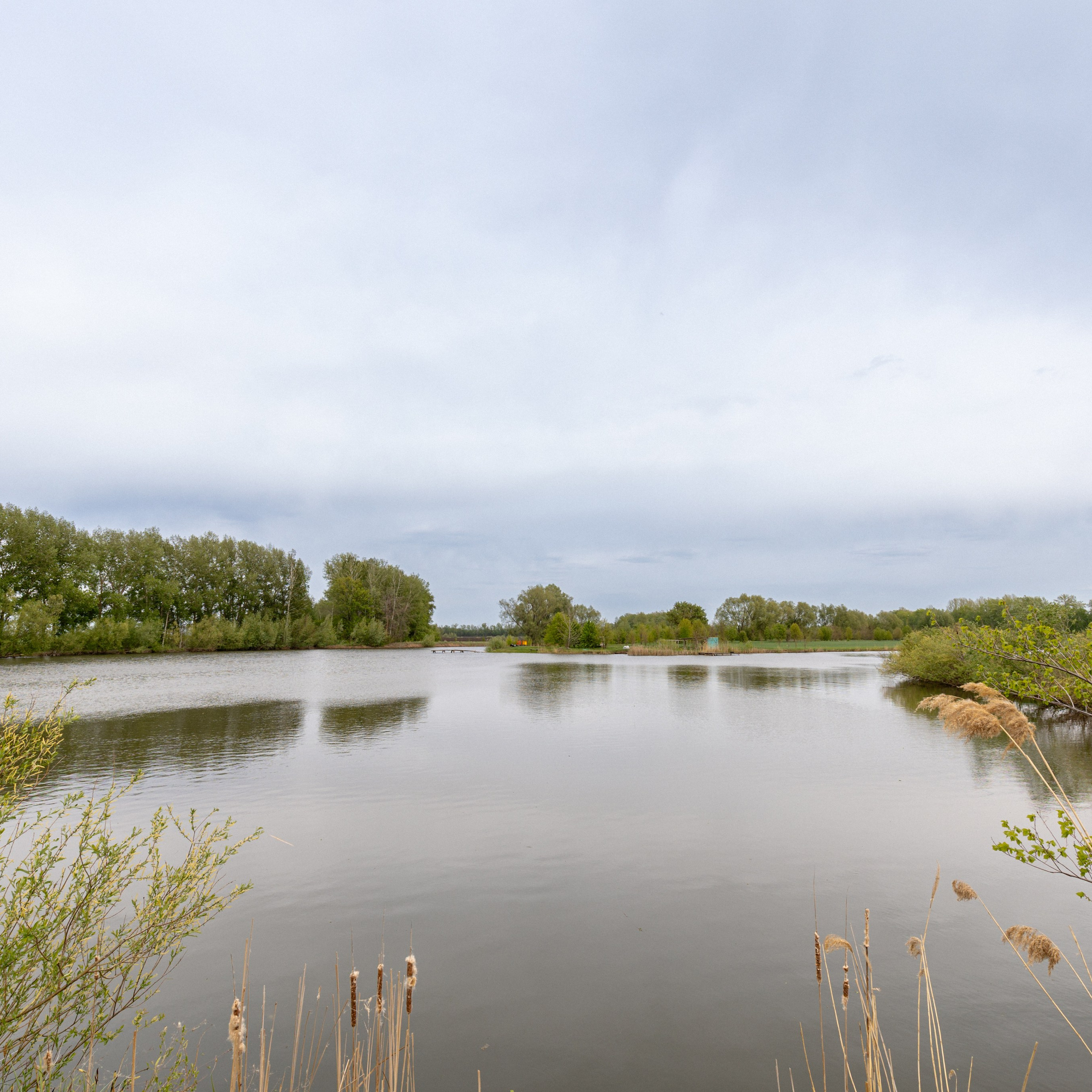 Приусадебный участок