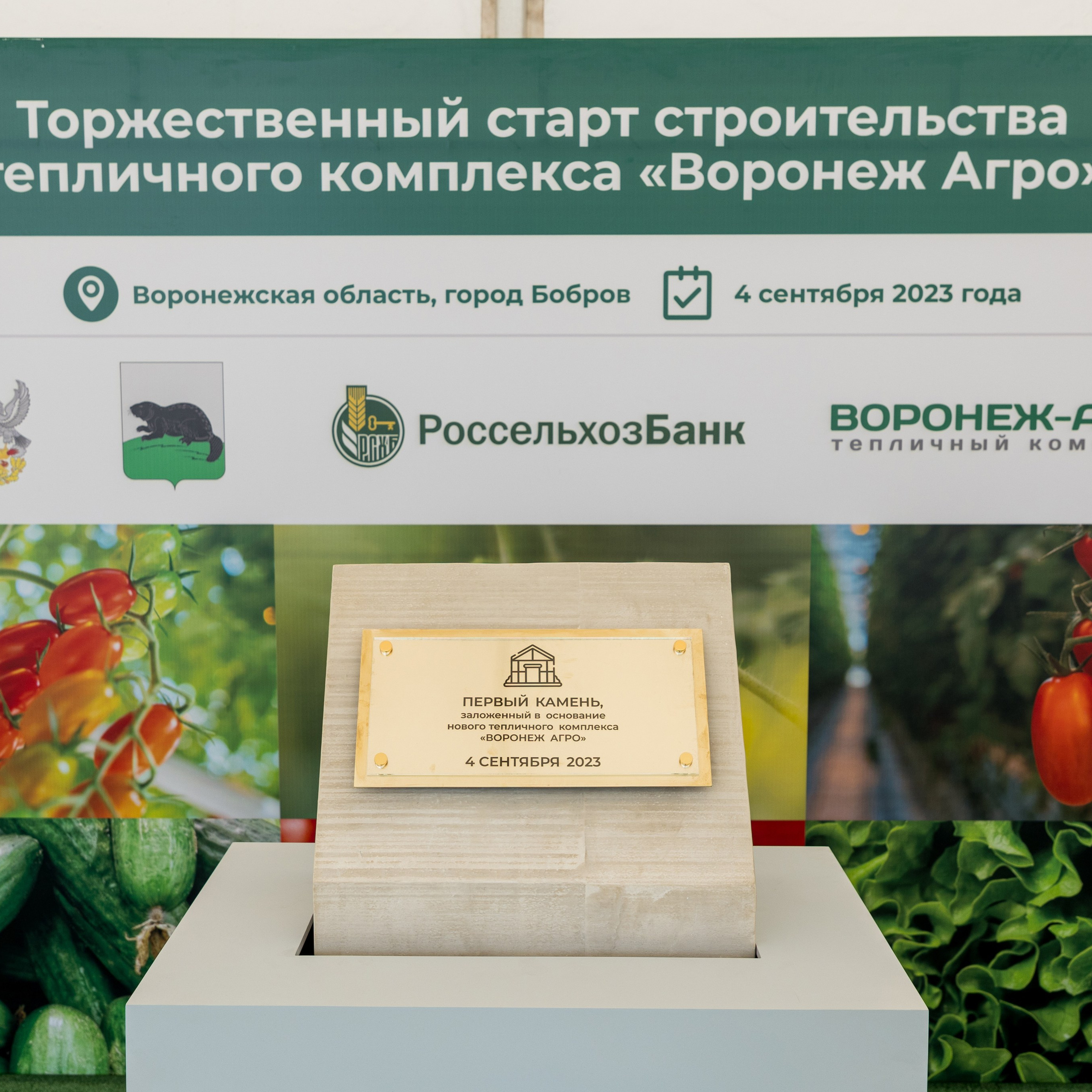 Воронеж Агро-Первый камень