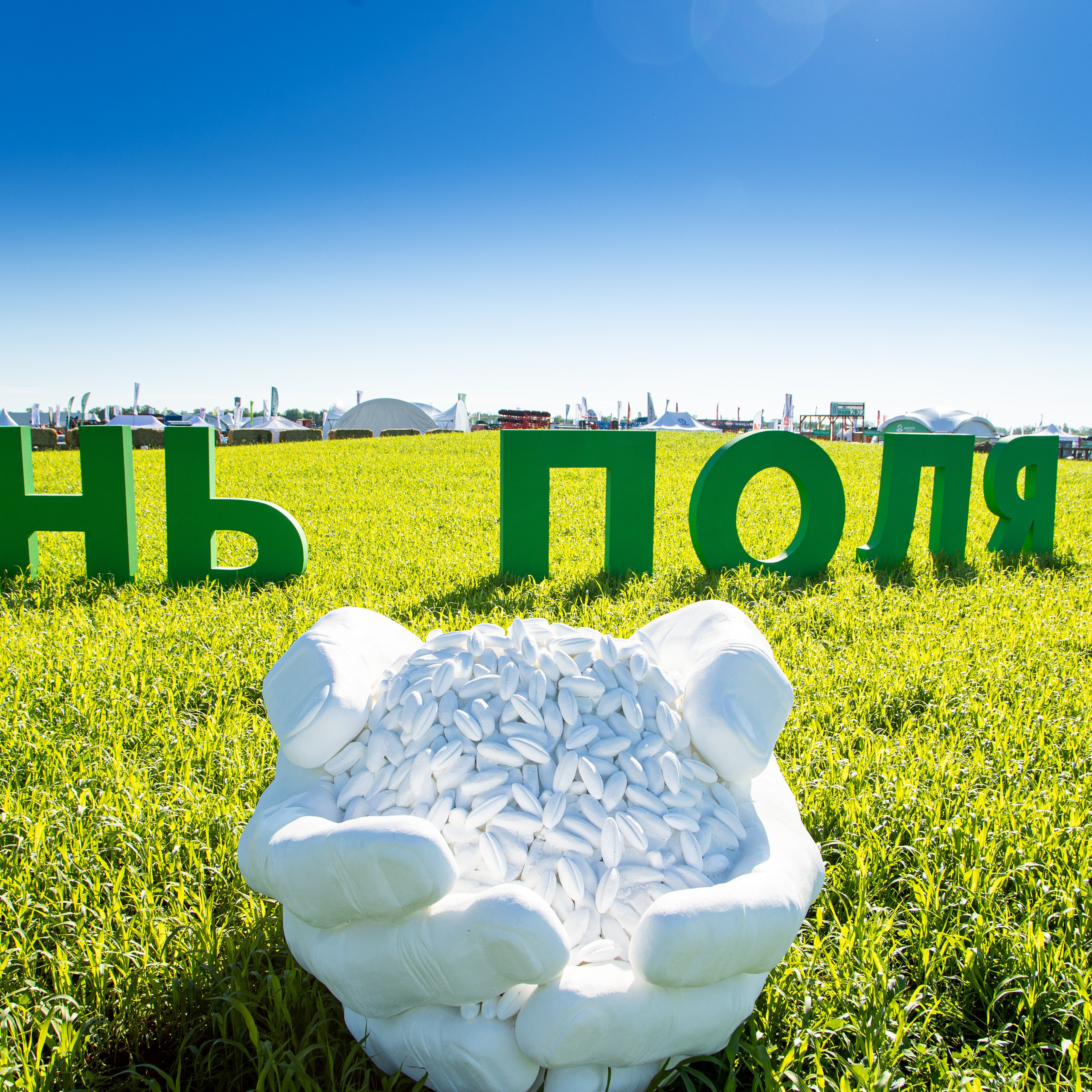 День Поля 2022