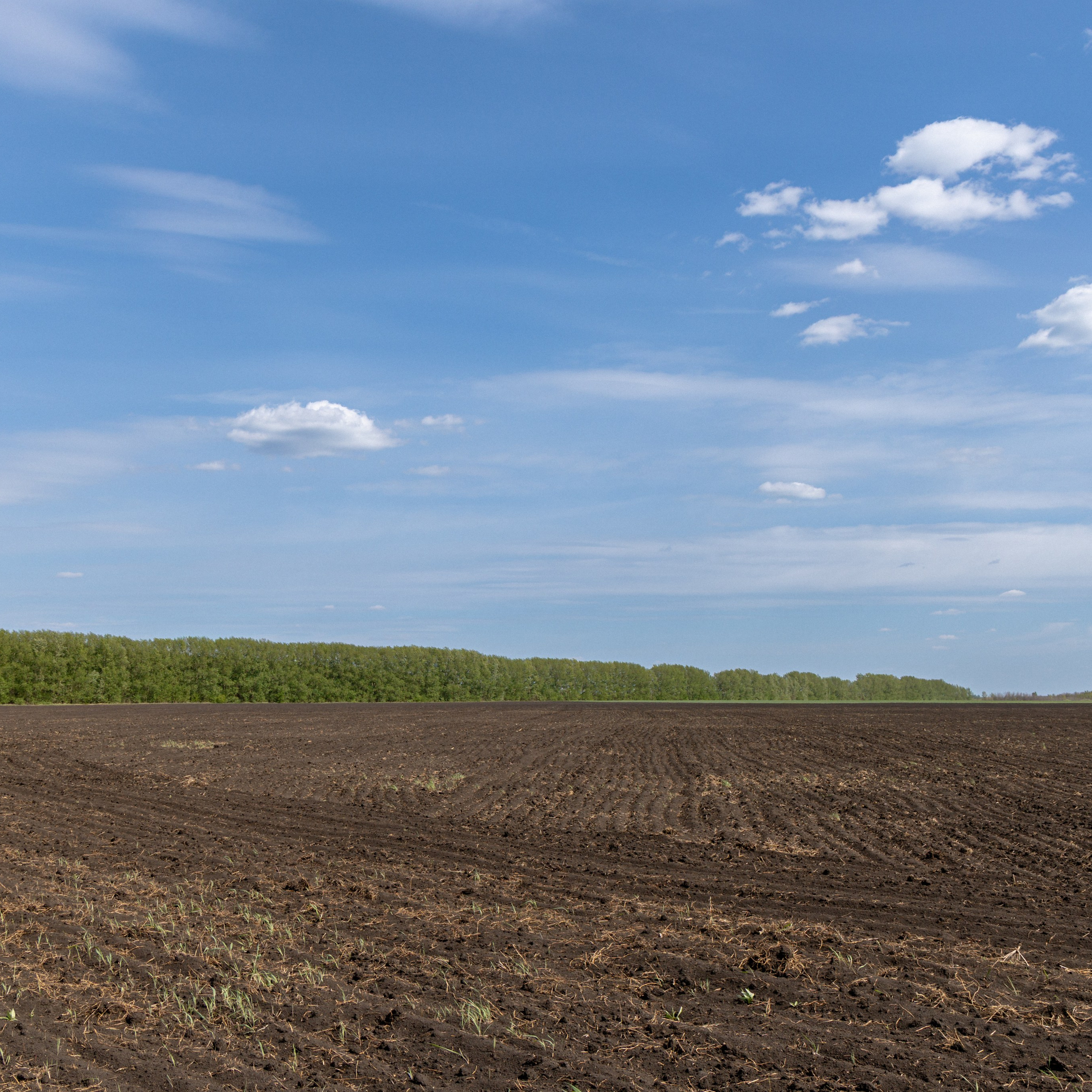 Земельный участок с объектами на нём
