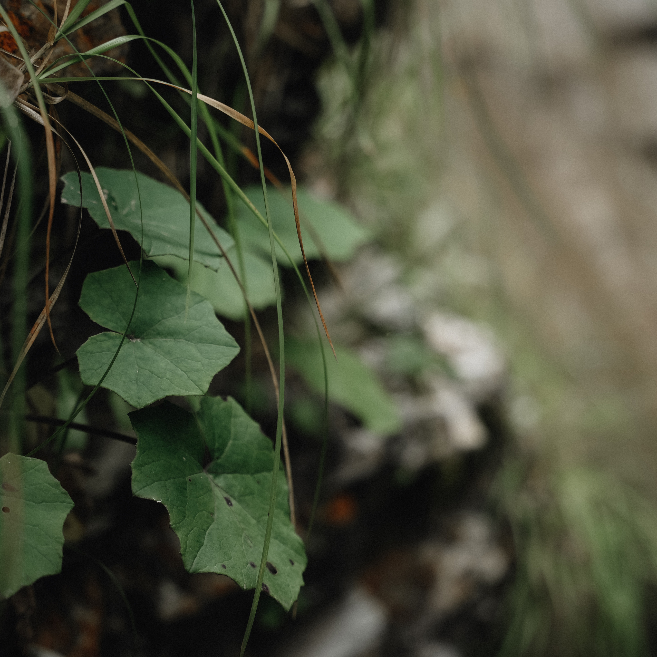 Фотограф Геленджик отзывы. VISUAL ARTIST · KRONGAUZ ANASTASIA