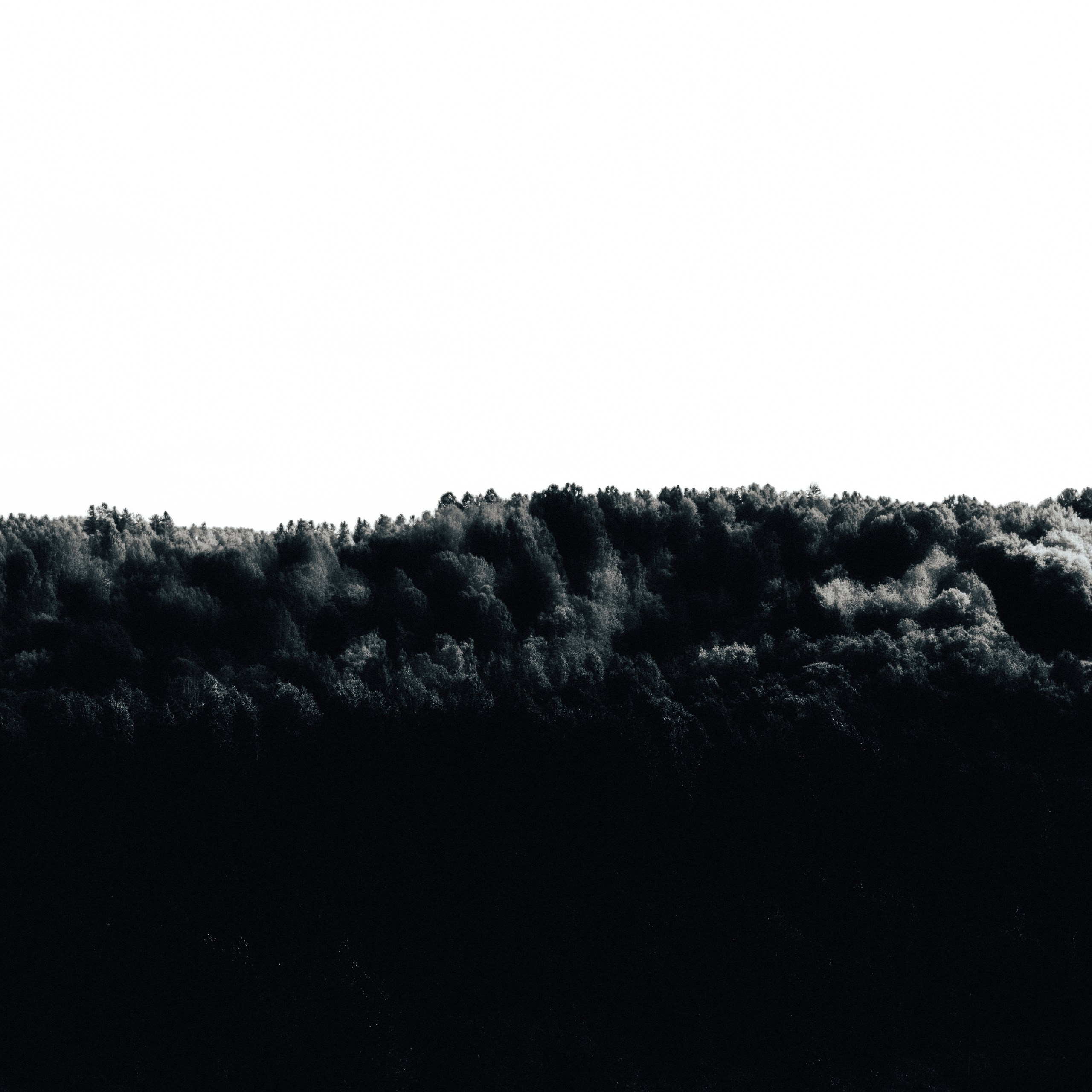 Graphic Noir