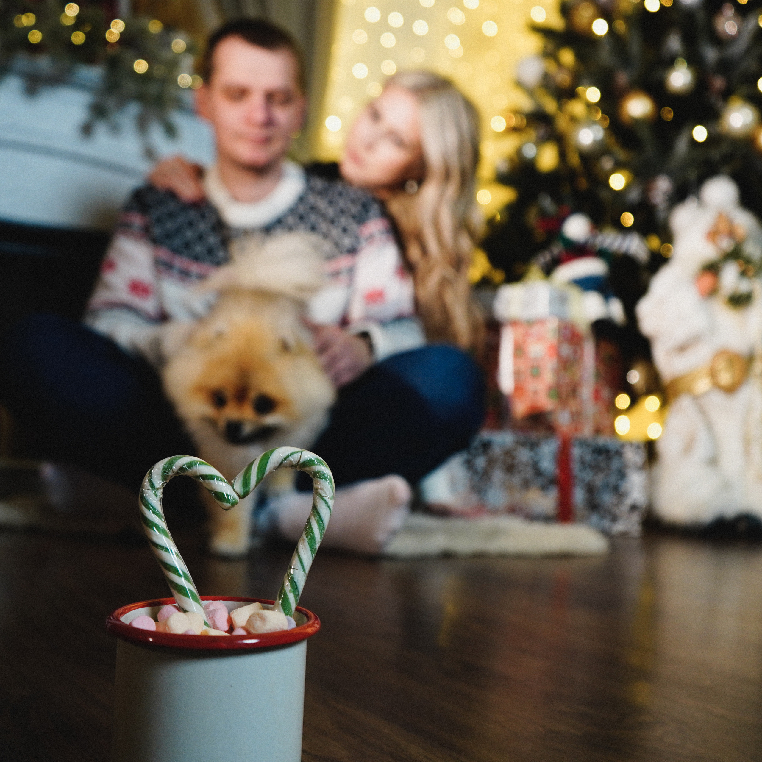 Отзывы. Семейный и детский фотограф в г. Апатиты Елена Раевская