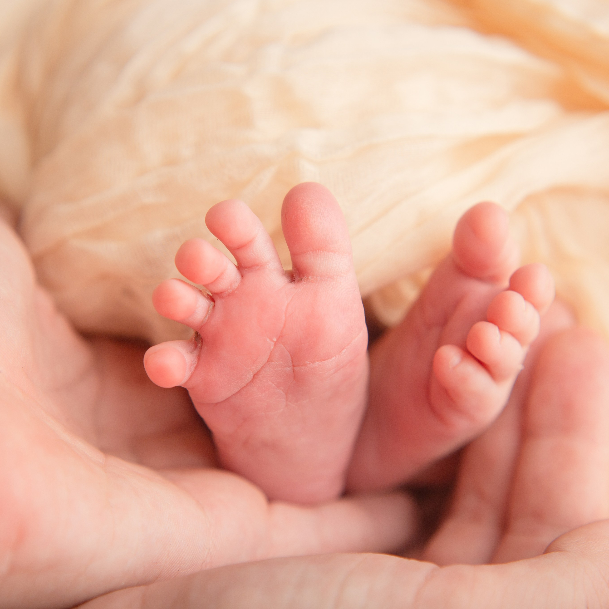 Отзывы. Детский фотограф в Няндоме Ариана Арсеньева