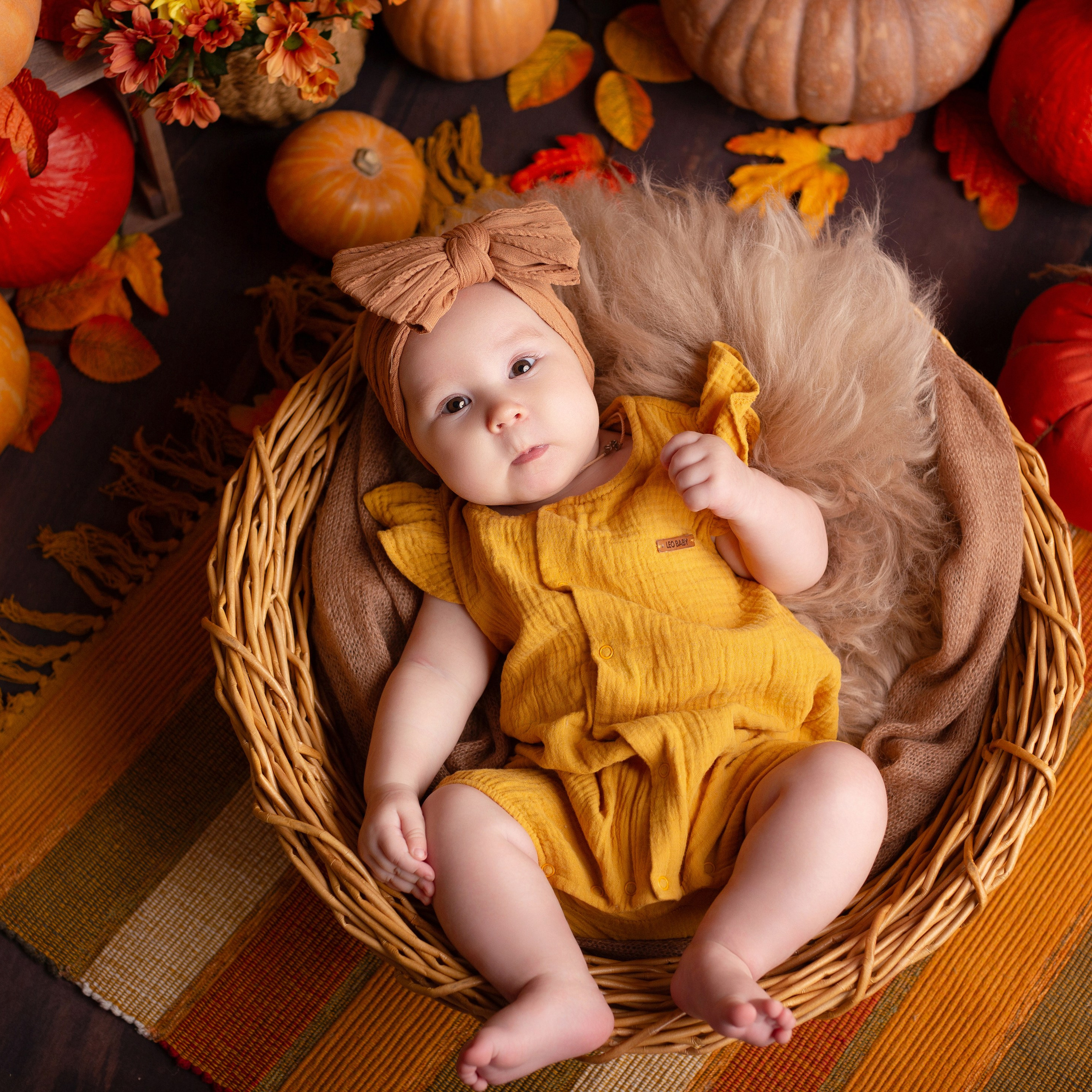 Отзывы. Детский фотограф в Няндоме Ариана Арсеньева