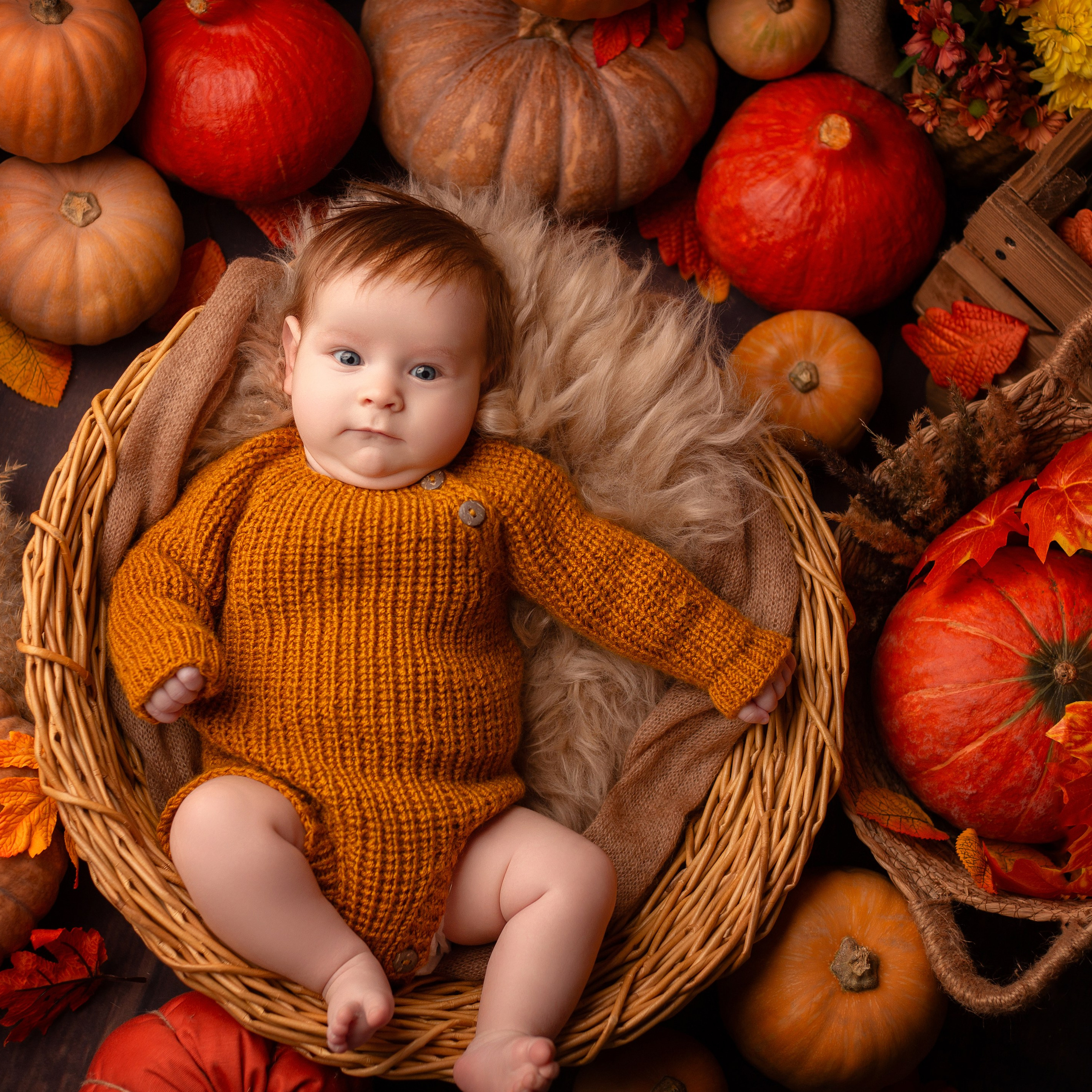 Отзывы. Детский фотограф в Няндоме Ариана Арсеньева