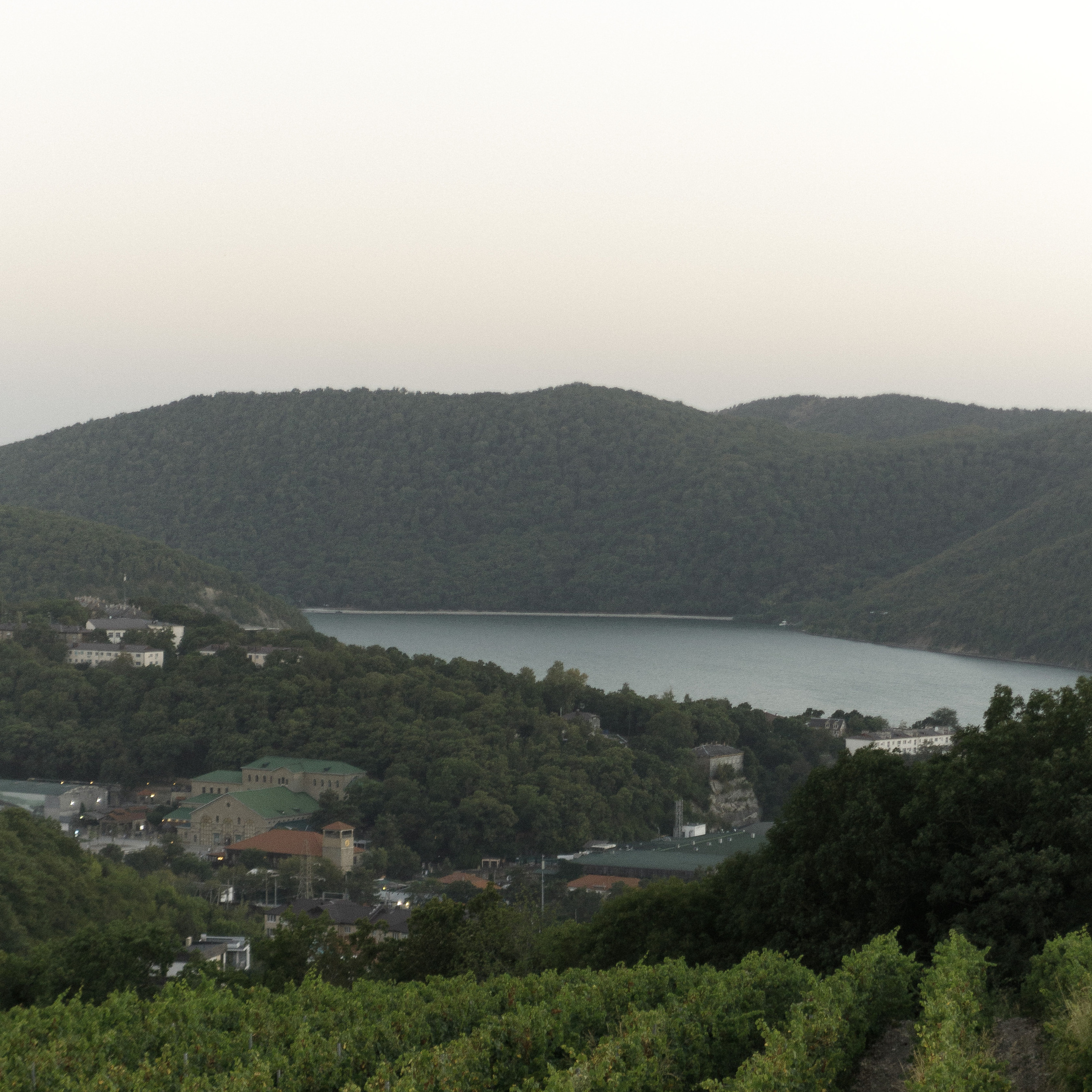 Отзывы. Твой душевный фотограф — Ирина Амирбекова