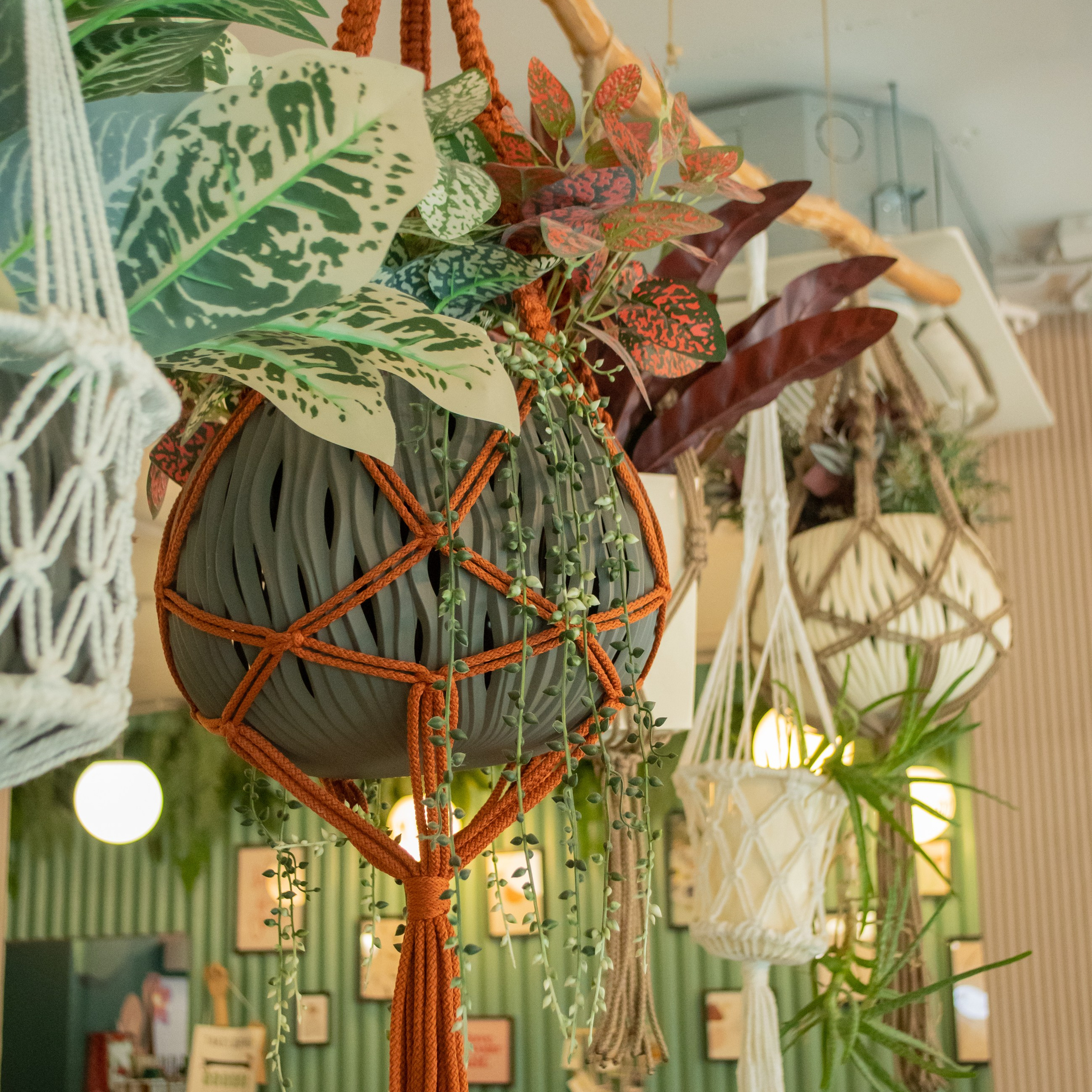 Кафе Clear Barn. Екатерина Бикбаева фотограф, видеограф, медиа-продюсер