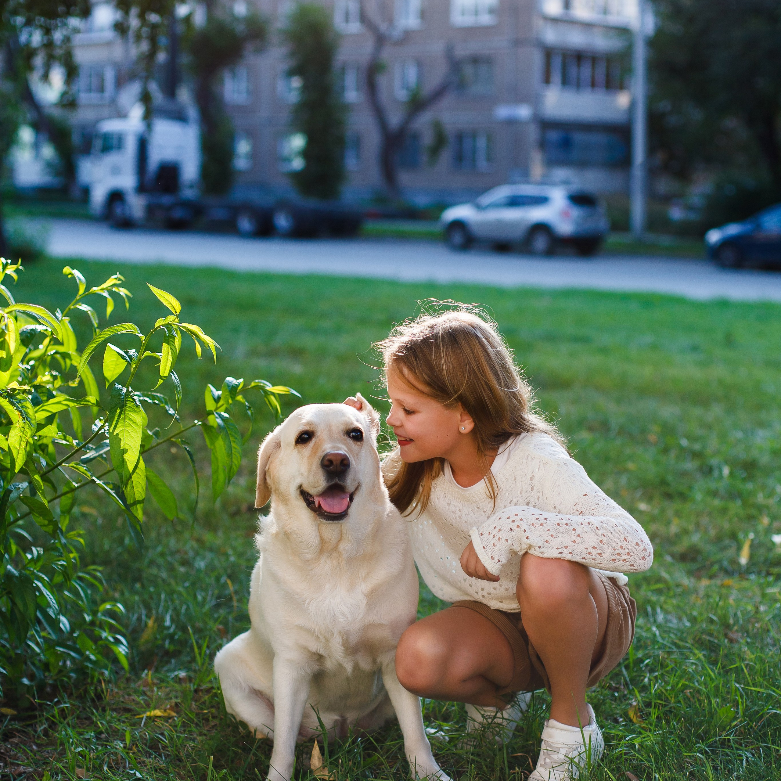 Семья Герасимовых