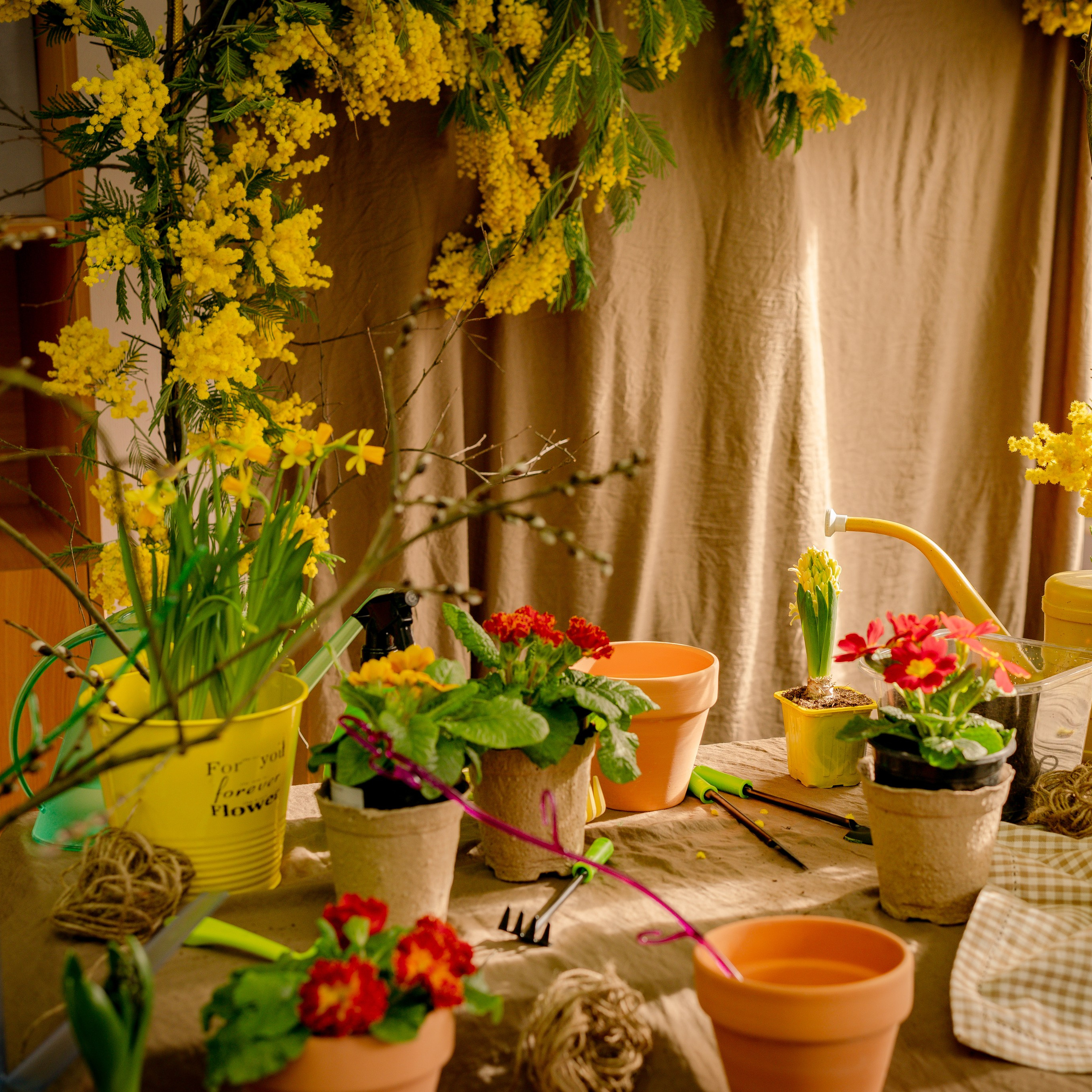 Весна 2 класс