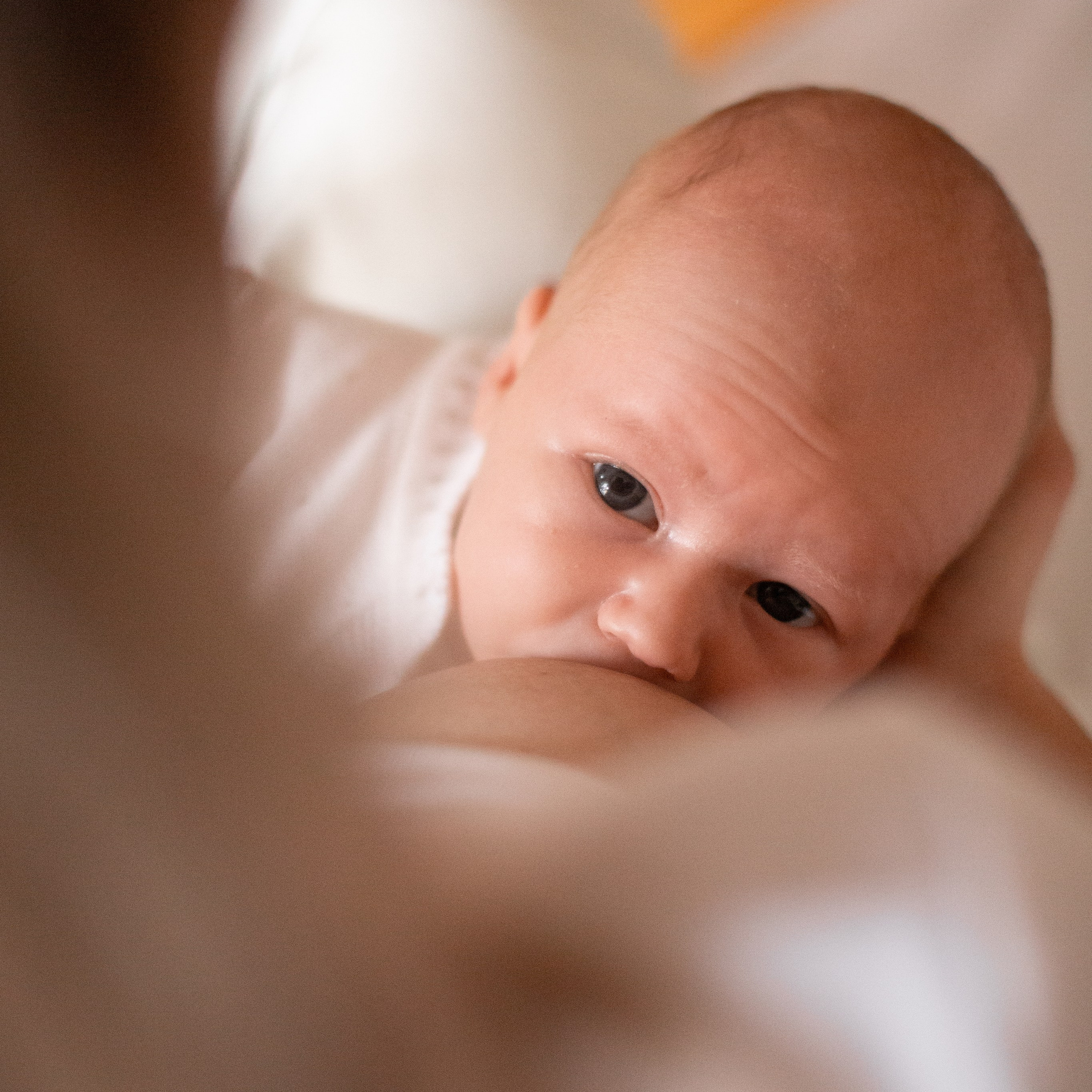 Ньюборн. Семейный и детский фотограф в Москве Анастасия Брагина