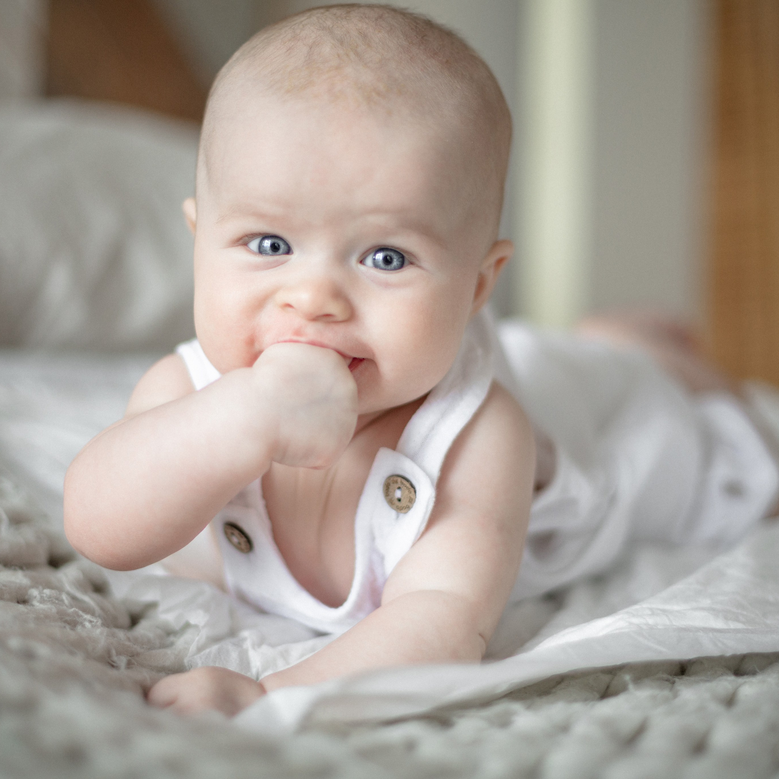Евгения, Сергей и Матвей. Семейный и детский фотограф в Москве Анастасия Брагина