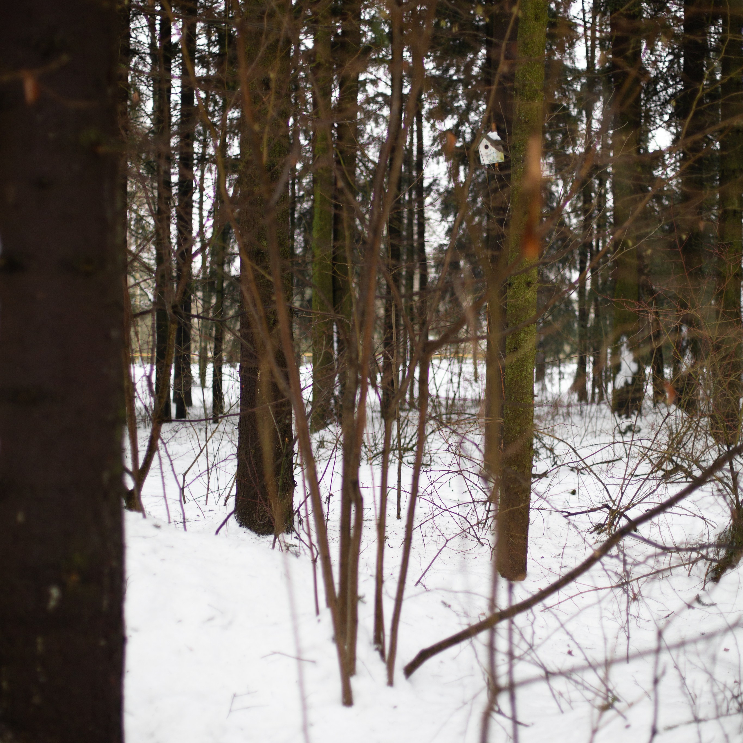 Вера и Василиса. Семейный и детский фотограф в Москве Анастасия Брагина
