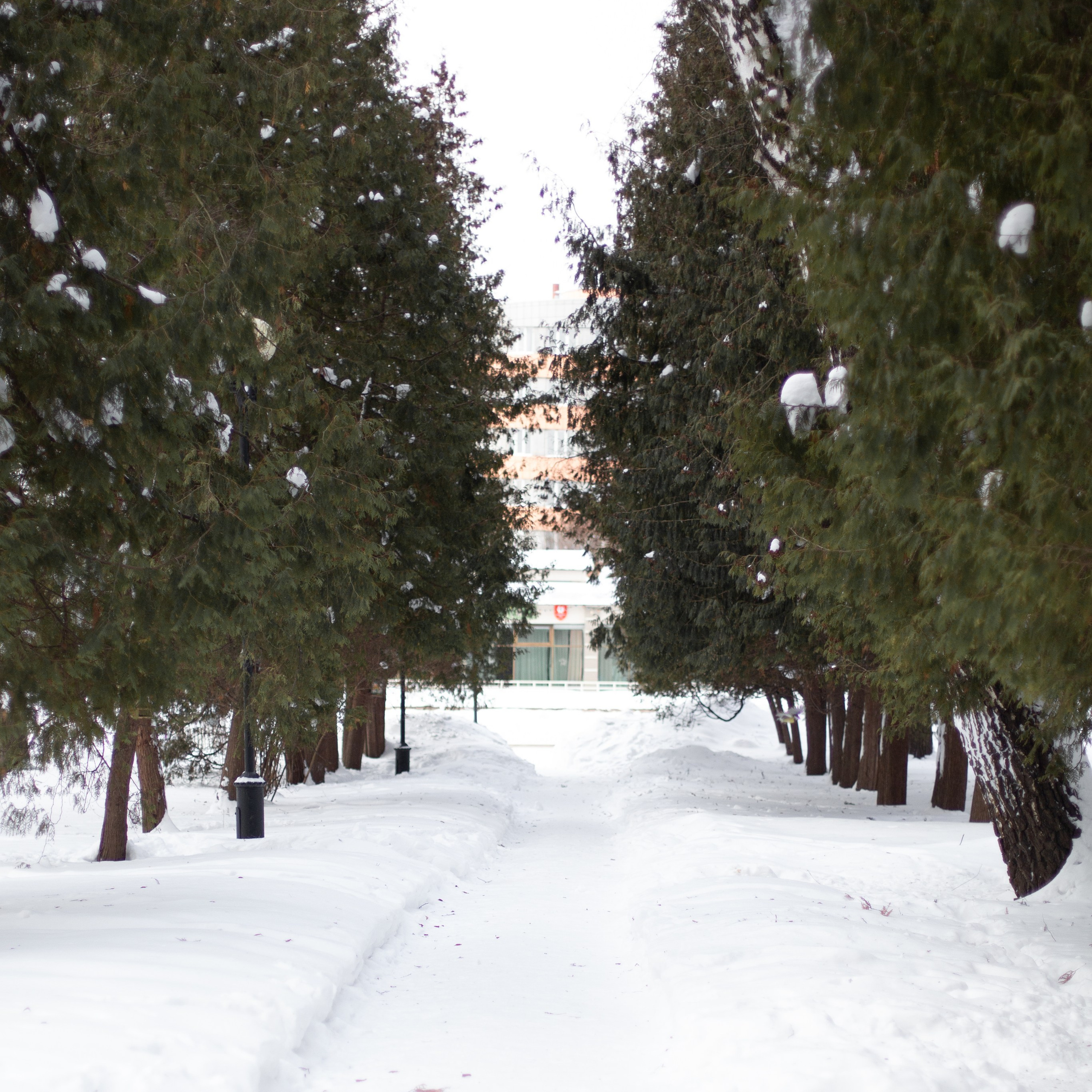 Аня и Мирон. Семейный и детский фотограф в Москве Анастасия Брагина