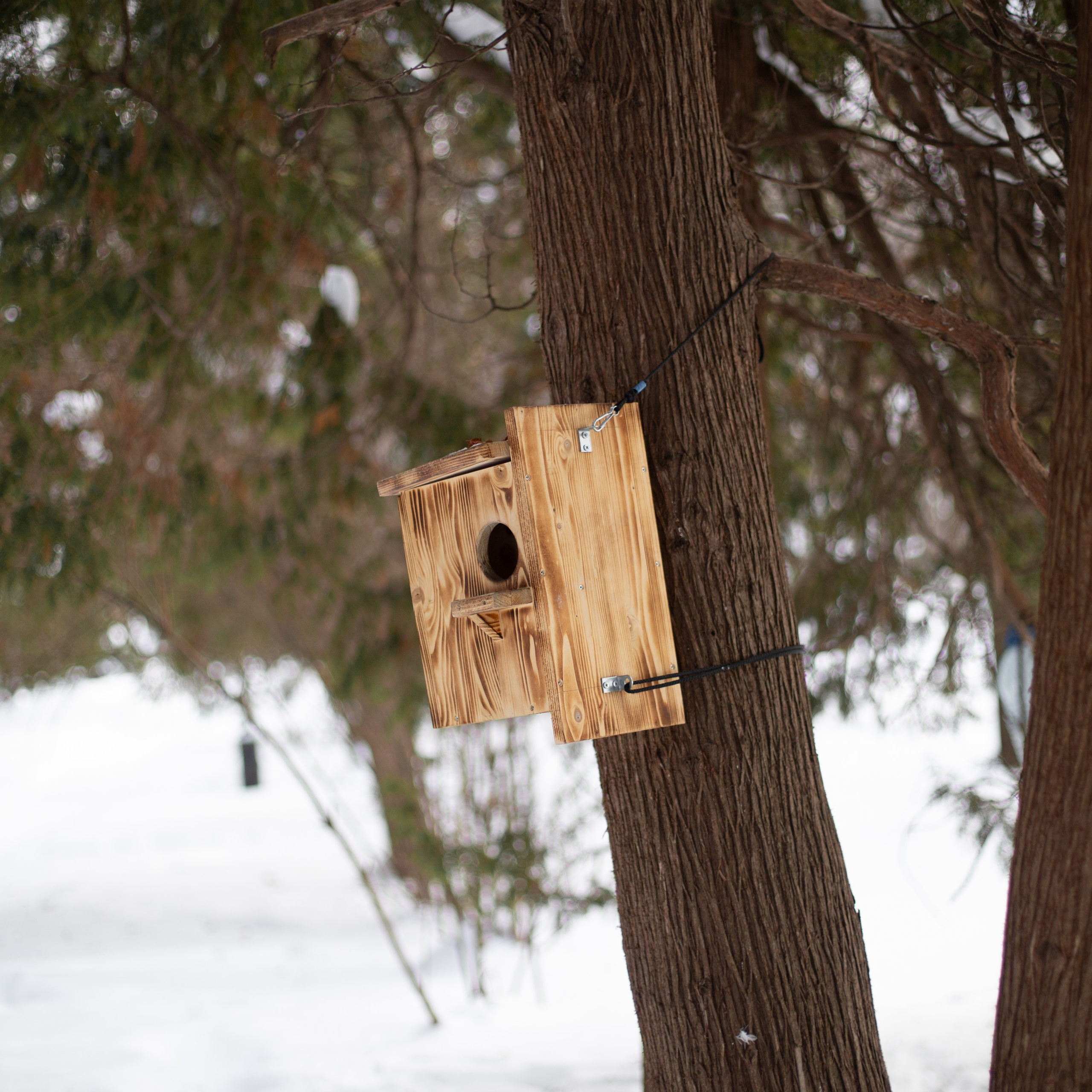 Аня и Мирон. Семейный и детский фотограф в Москве Анастасия Брагина