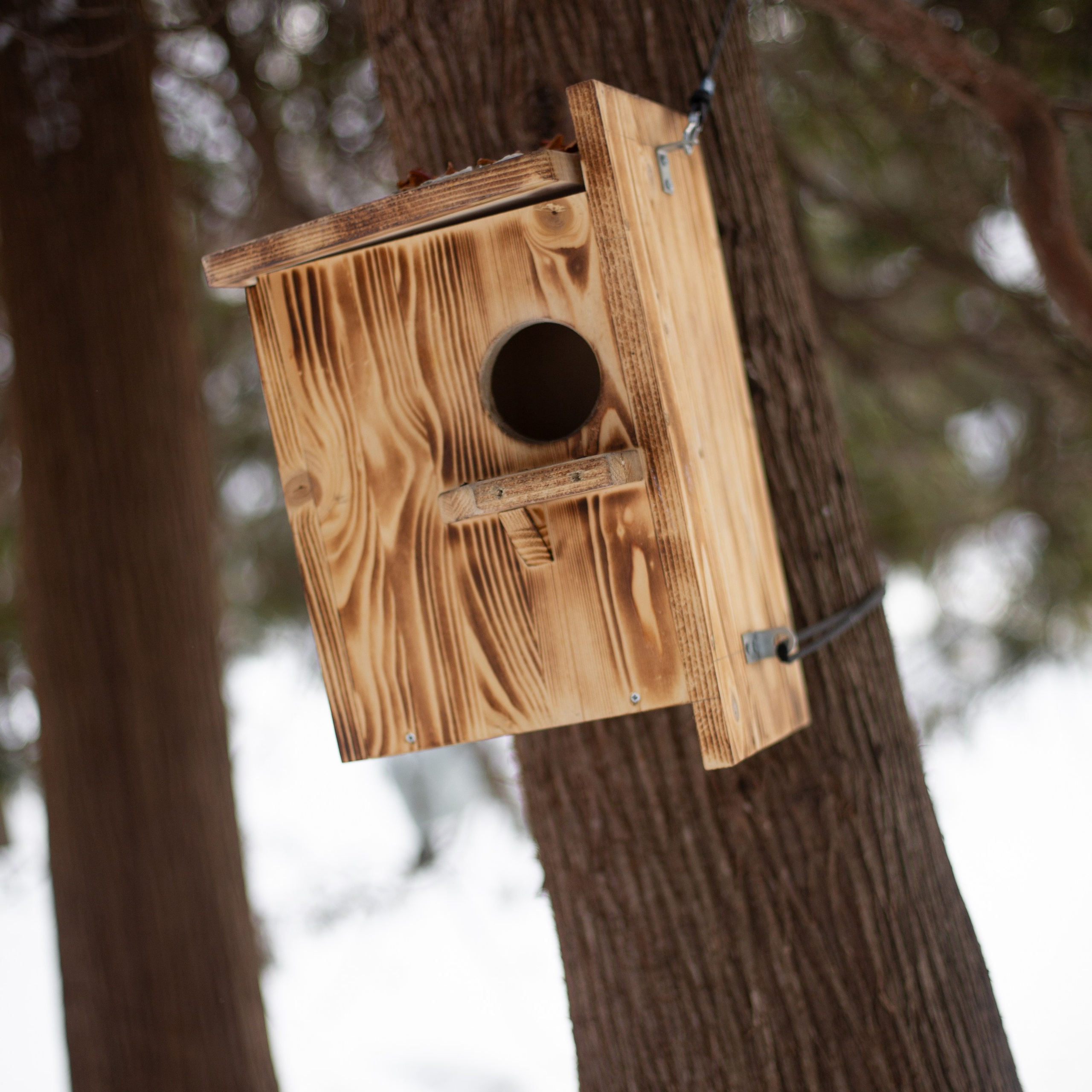 Аня и Мирон. Семейный и детский фотограф в Москве Анастасия Брагина