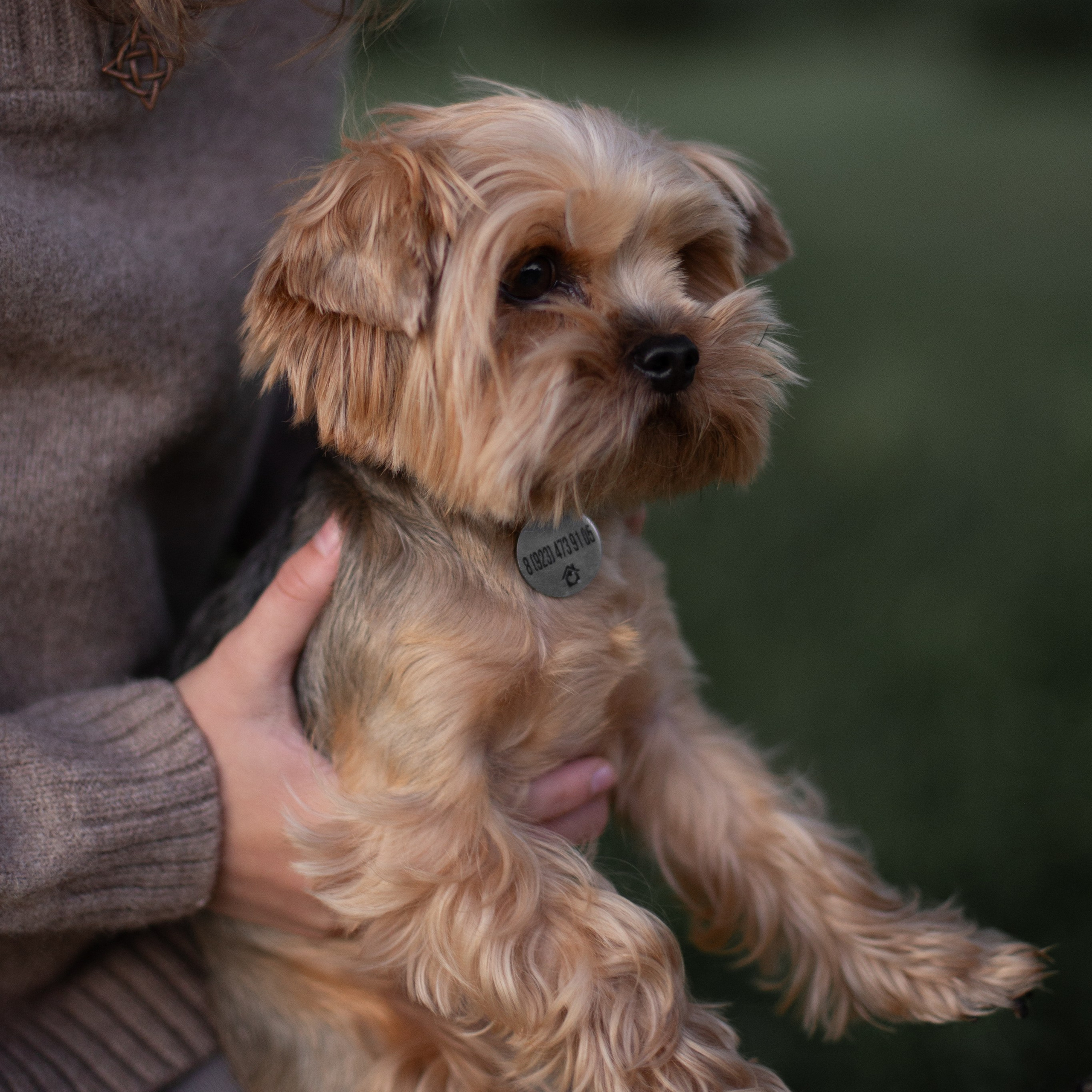 Артем, Роза, Алена и Ваня. Семейный и детский фотограф в Москве Анастасия Брагина