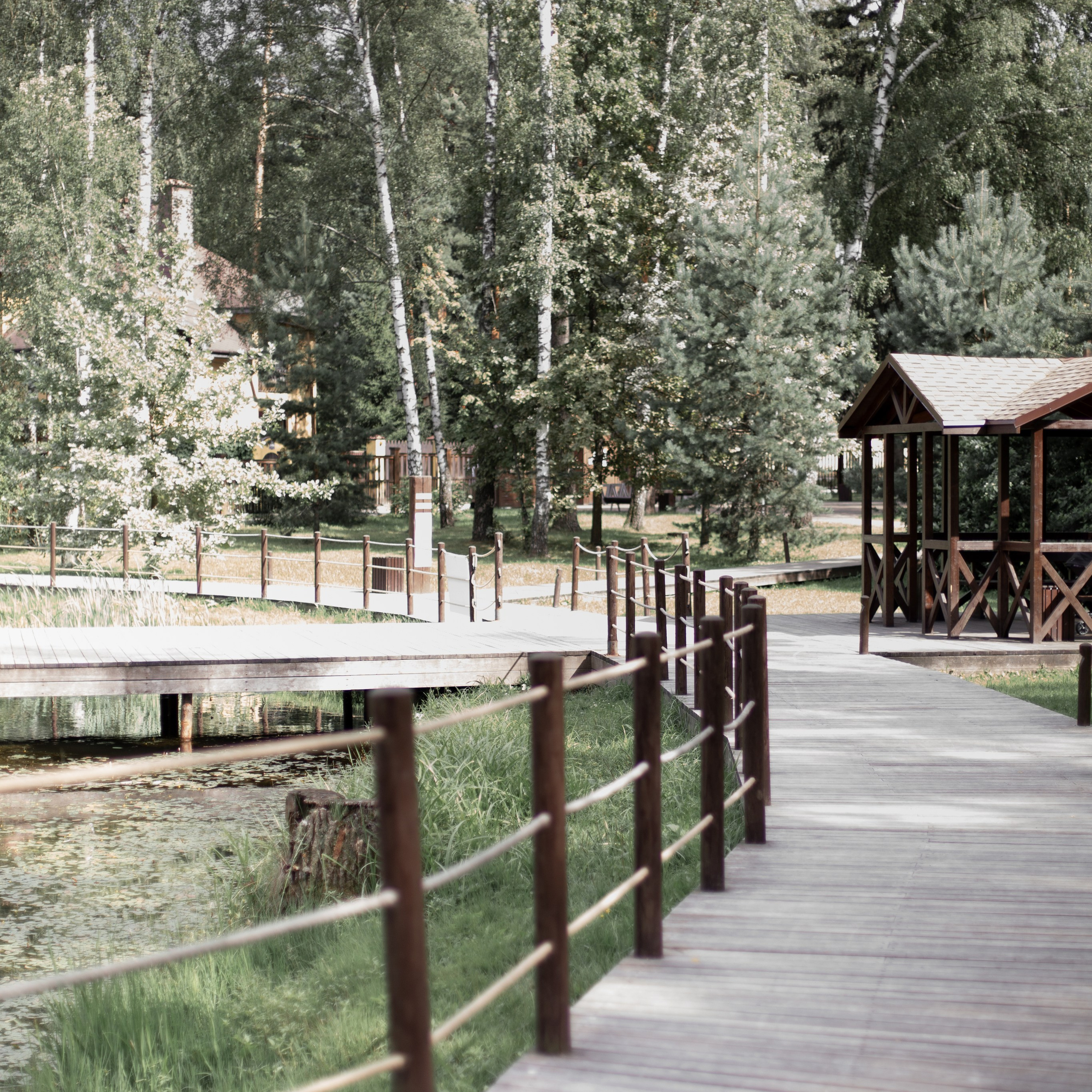 Аня и Мирон. Семейный и детский фотограф в Москве Анастасия Брагина