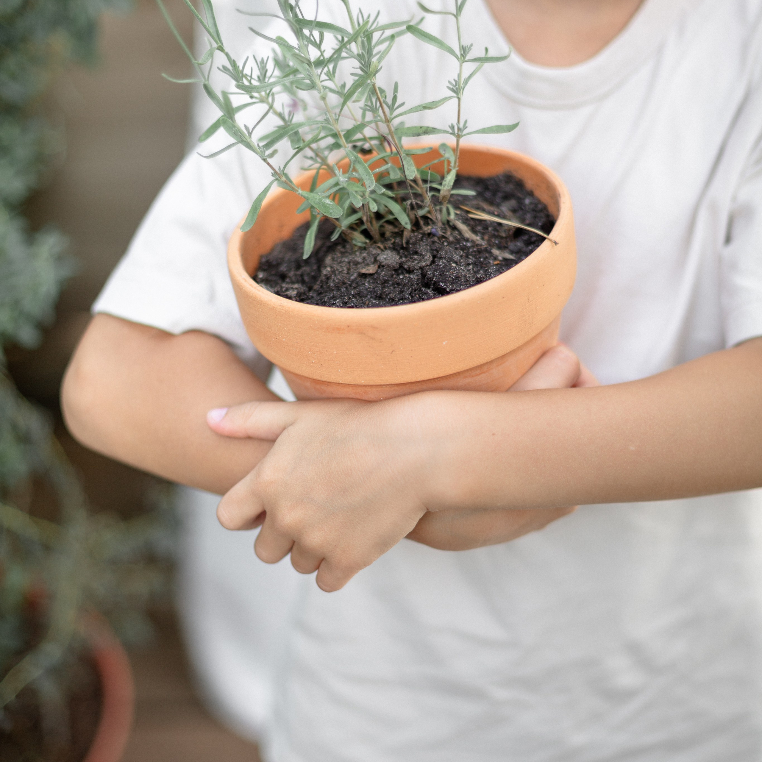 Сергей, Полина, Никита и Тимофей. Семейный и детский фотограф в Москве Анастасия Брагина