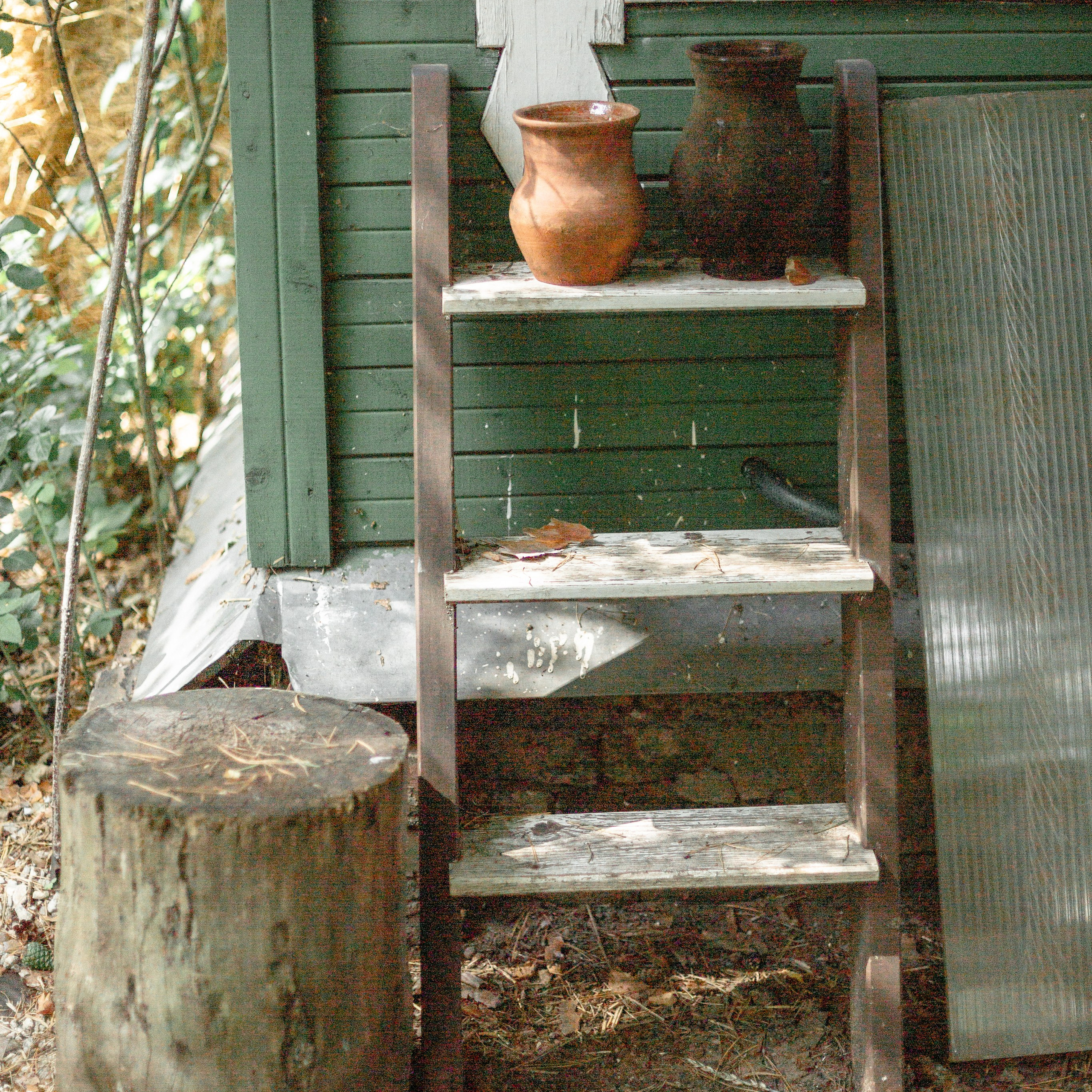 Сергей, Полина, Никита и Тимофей. Семейный и детский фотограф в Москве Анастасия Брагина