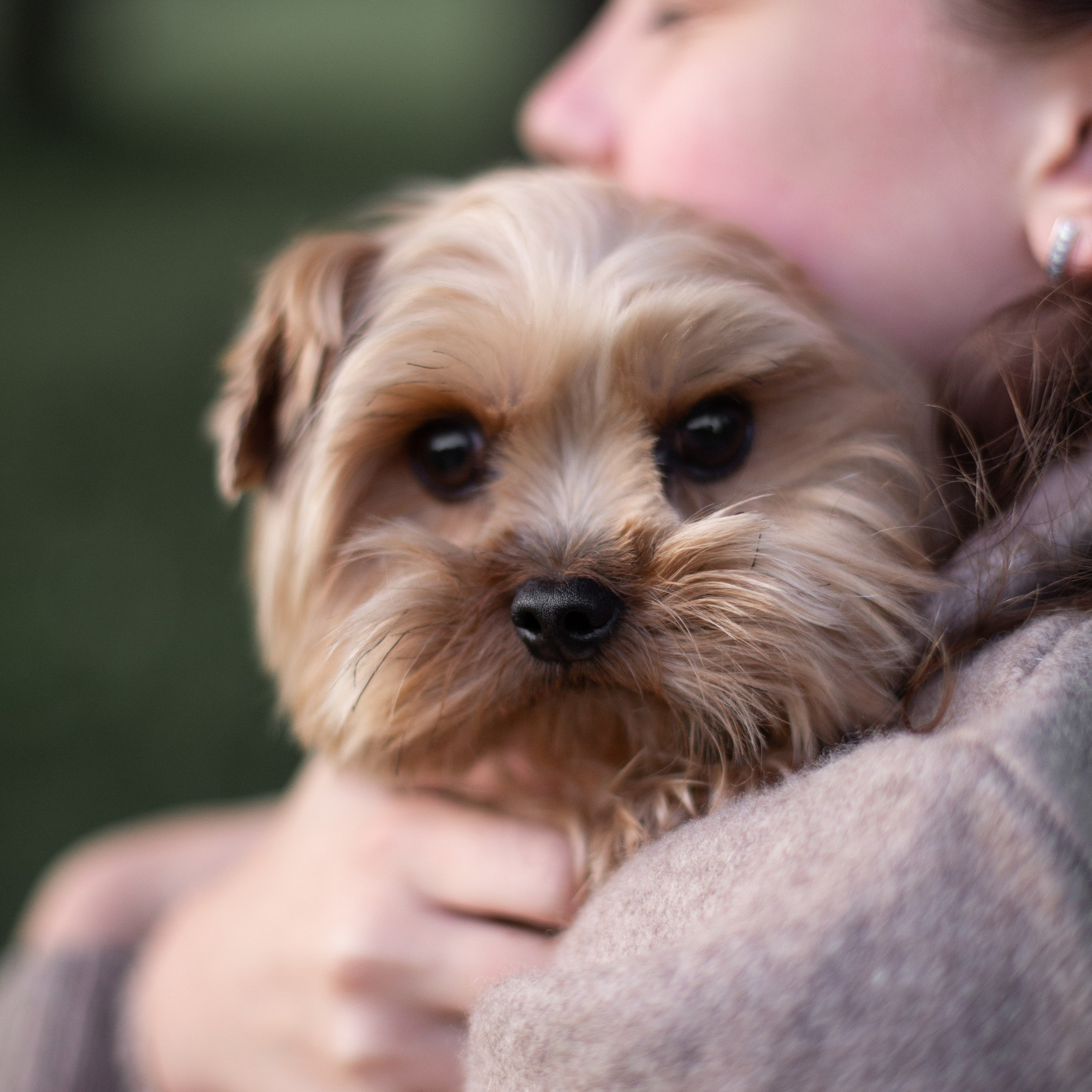 Артем, Роза, Алена и Ваня. Семейный и детский фотограф в Москве Анастасия Брагина
