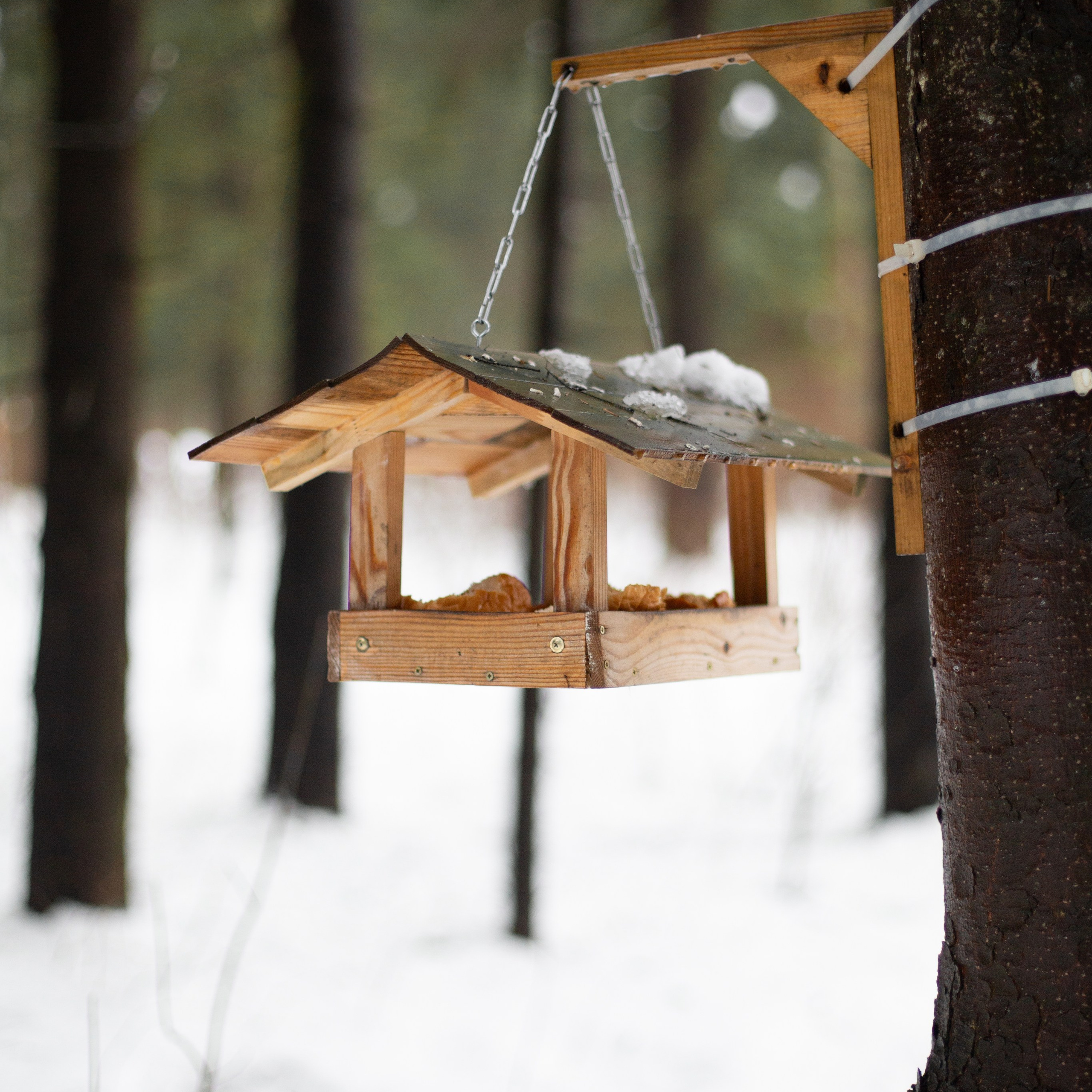 Вера и Василиса. Семейный и детский фотограф в Москве Анастасия Брагина