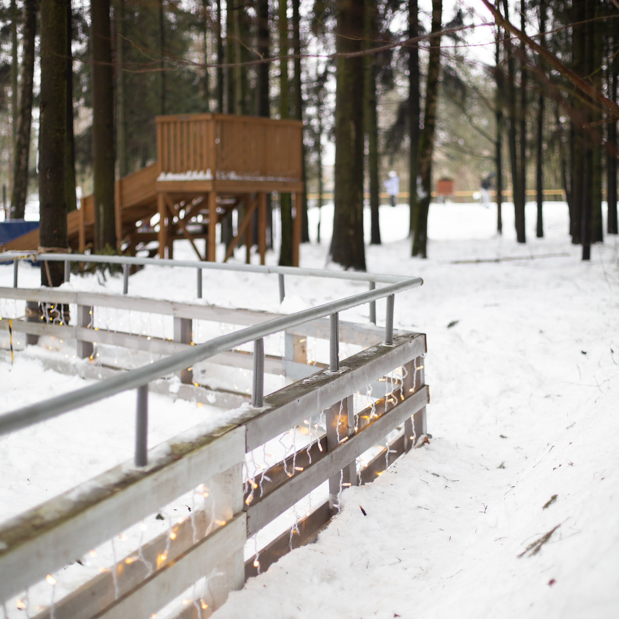 Вера и Василиса. Семейный и детский фотограф в Москве Анастасия Брагина