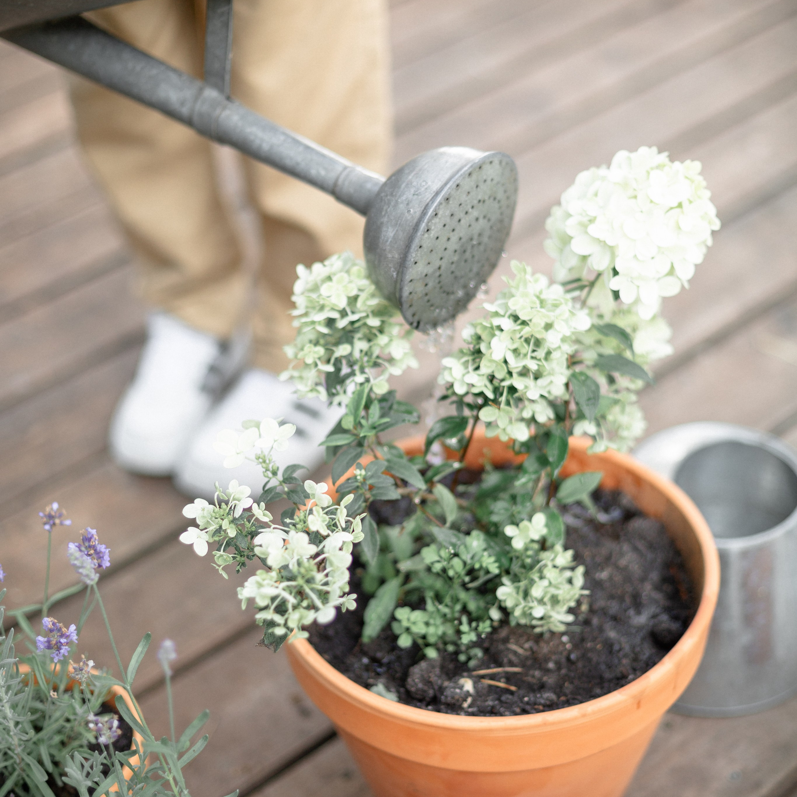 Сергей, Полина, Никита и Тимофей. Семейный и детский фотограф в Москве Анастасия Брагина