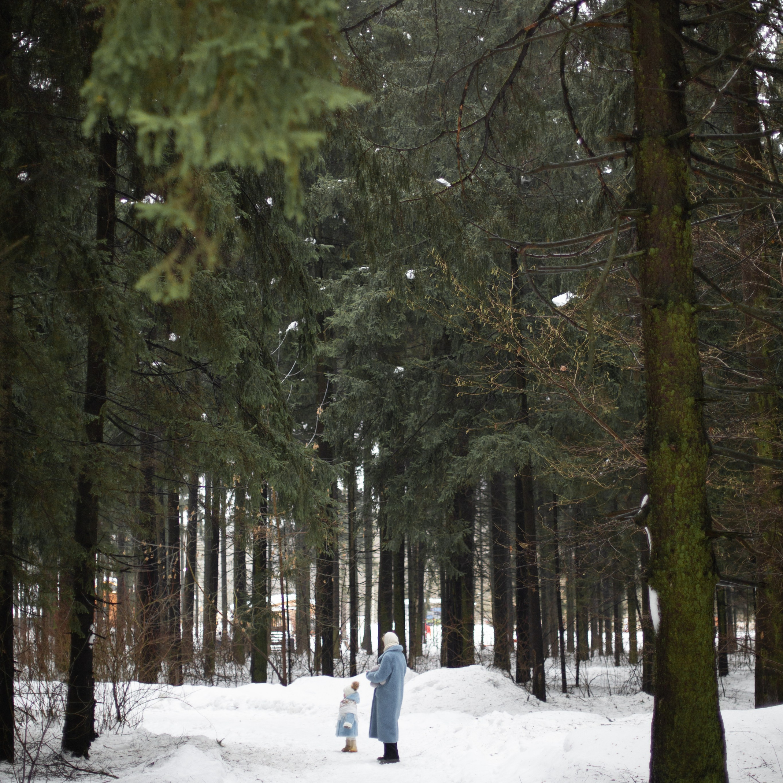Вера и Василиса. Семейный и детский фотограф в Москве Анастасия Брагина