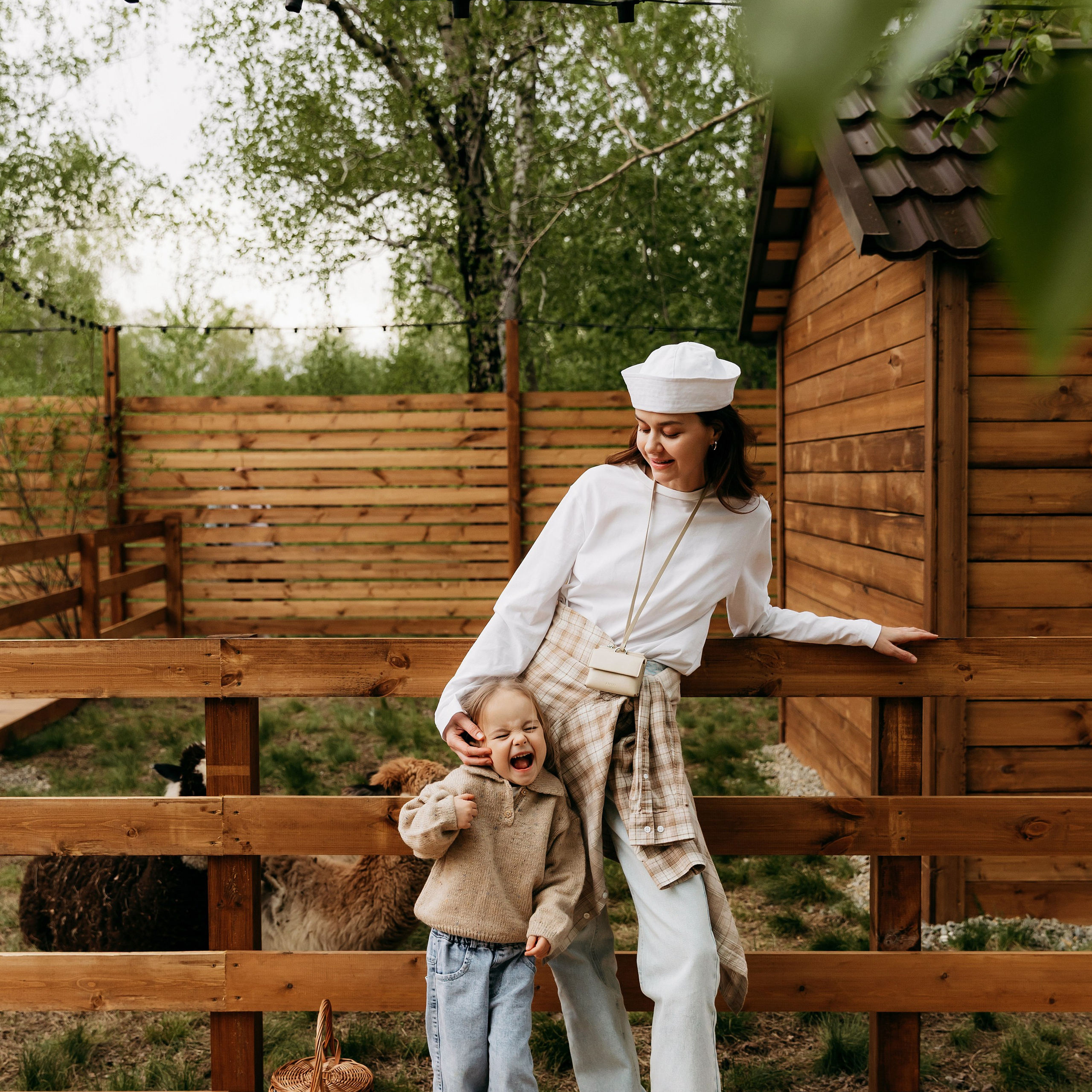 Привет, лама!