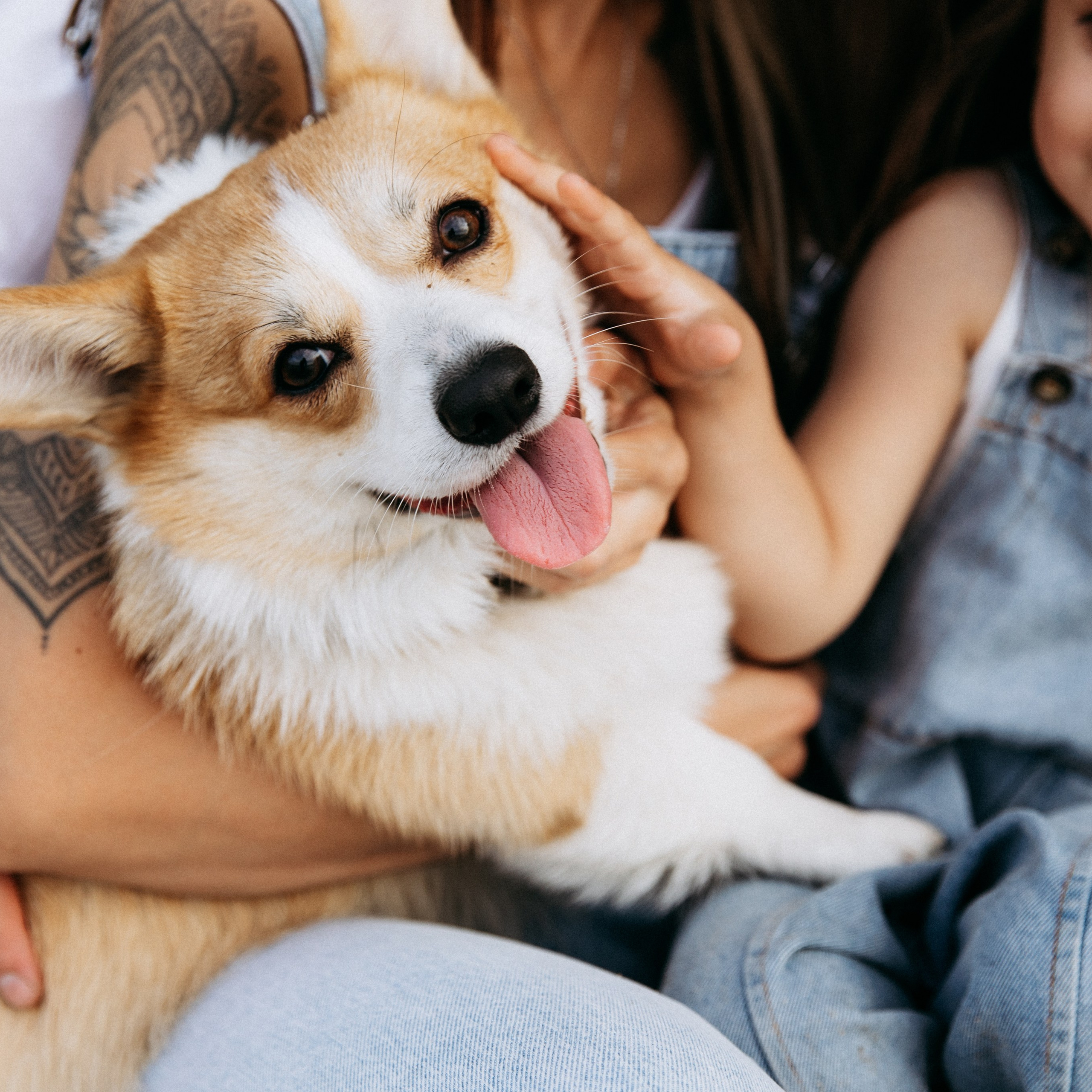 Пикник с Бетти