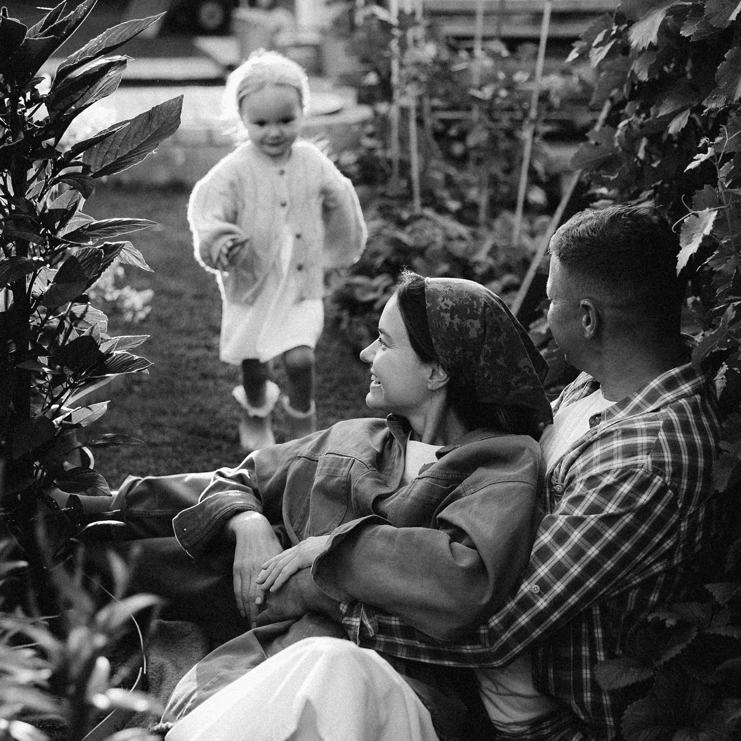 Дачная история