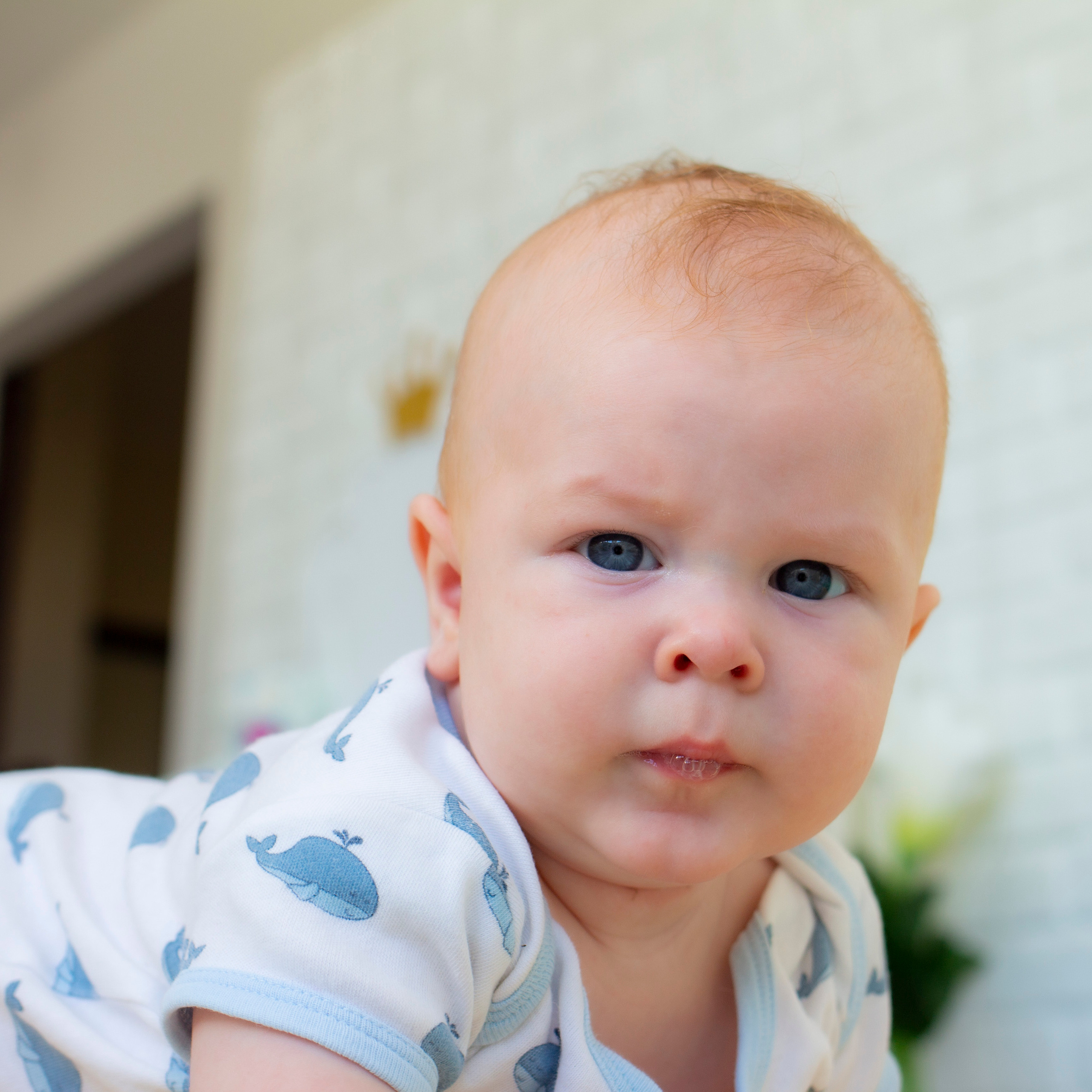 Отзывы. Фотограф в Сочи Натали Вахрушева