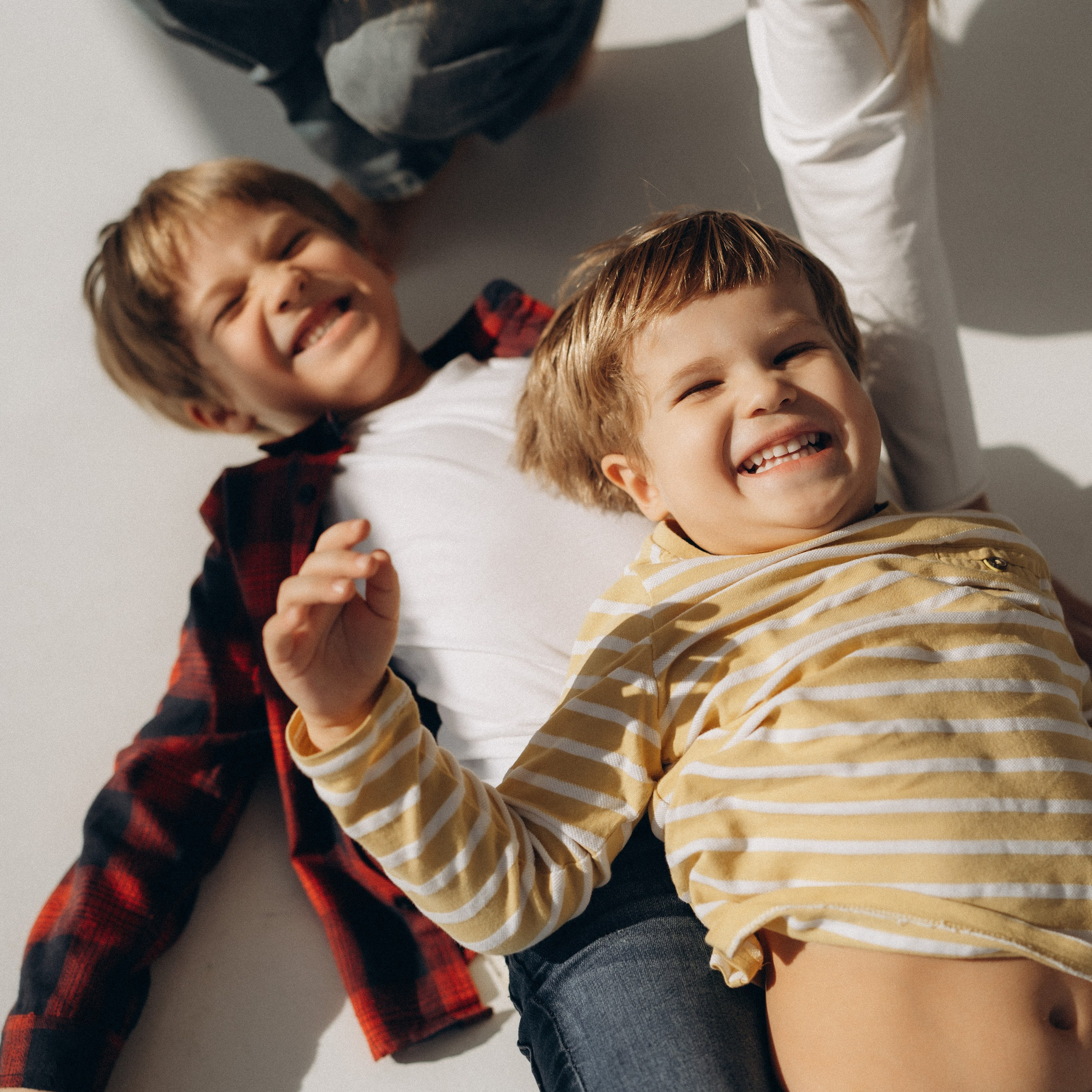 Защитники домашнего очага