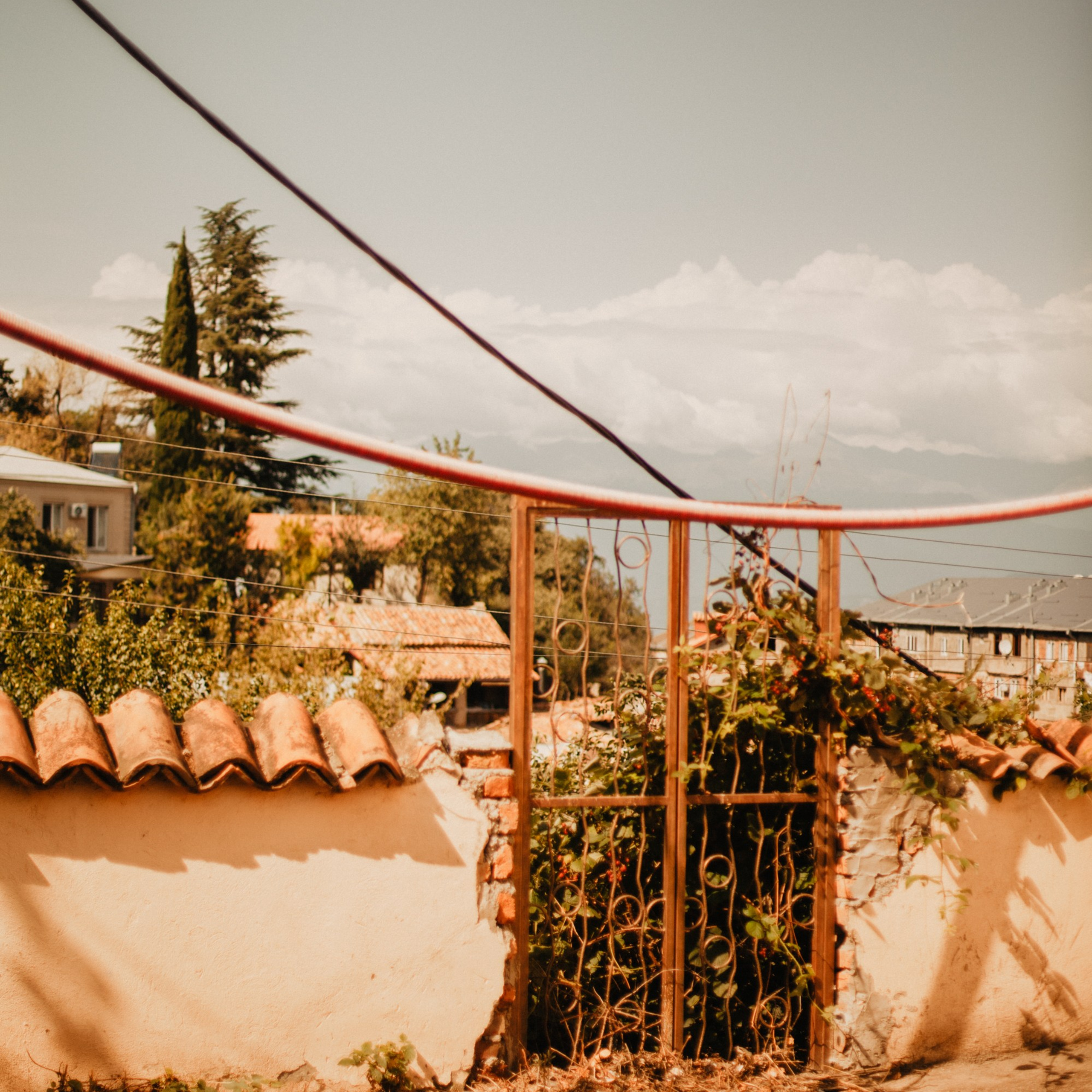 Грузинские каникулы