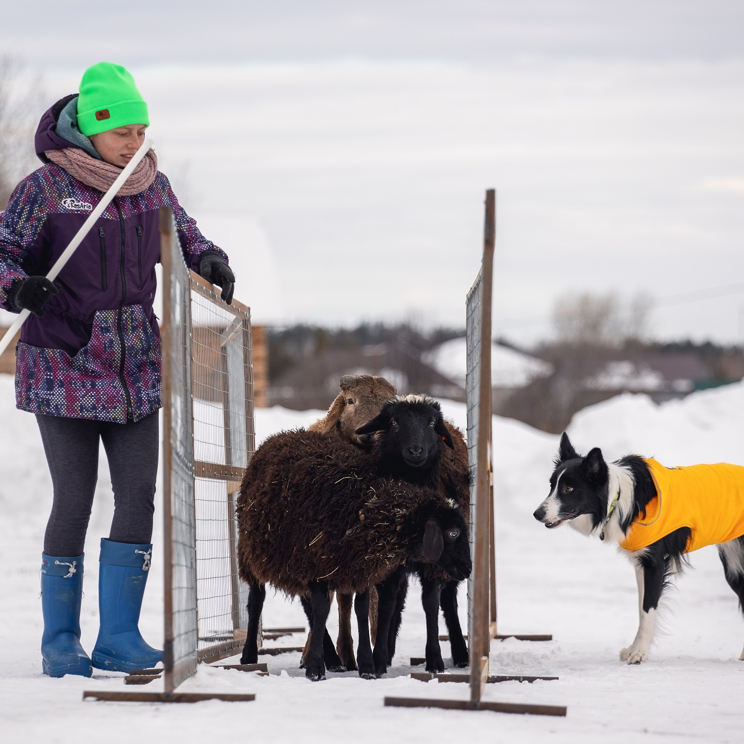 Татьяна и Ран