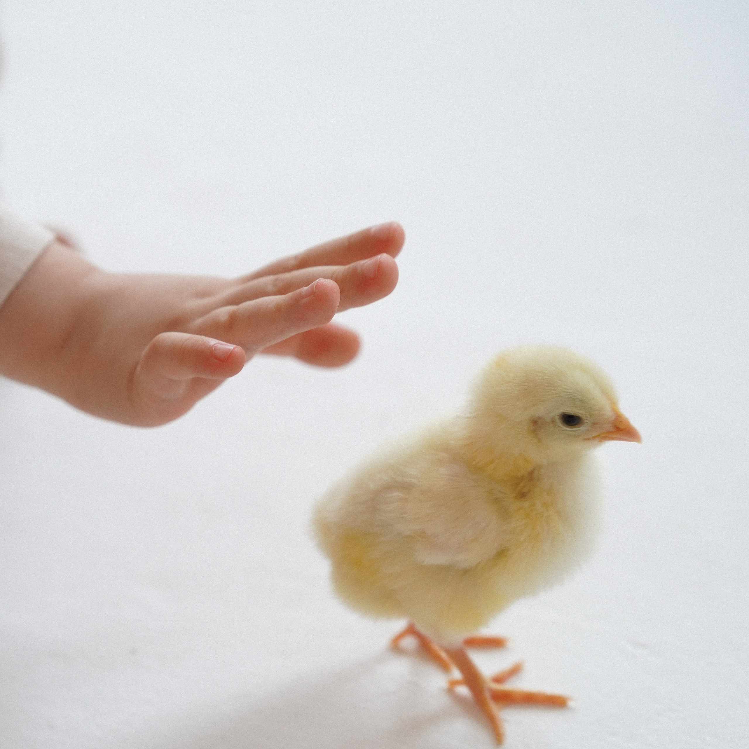 Отзывы. Женский и детский фотограф в Саратове Олеся Булаева