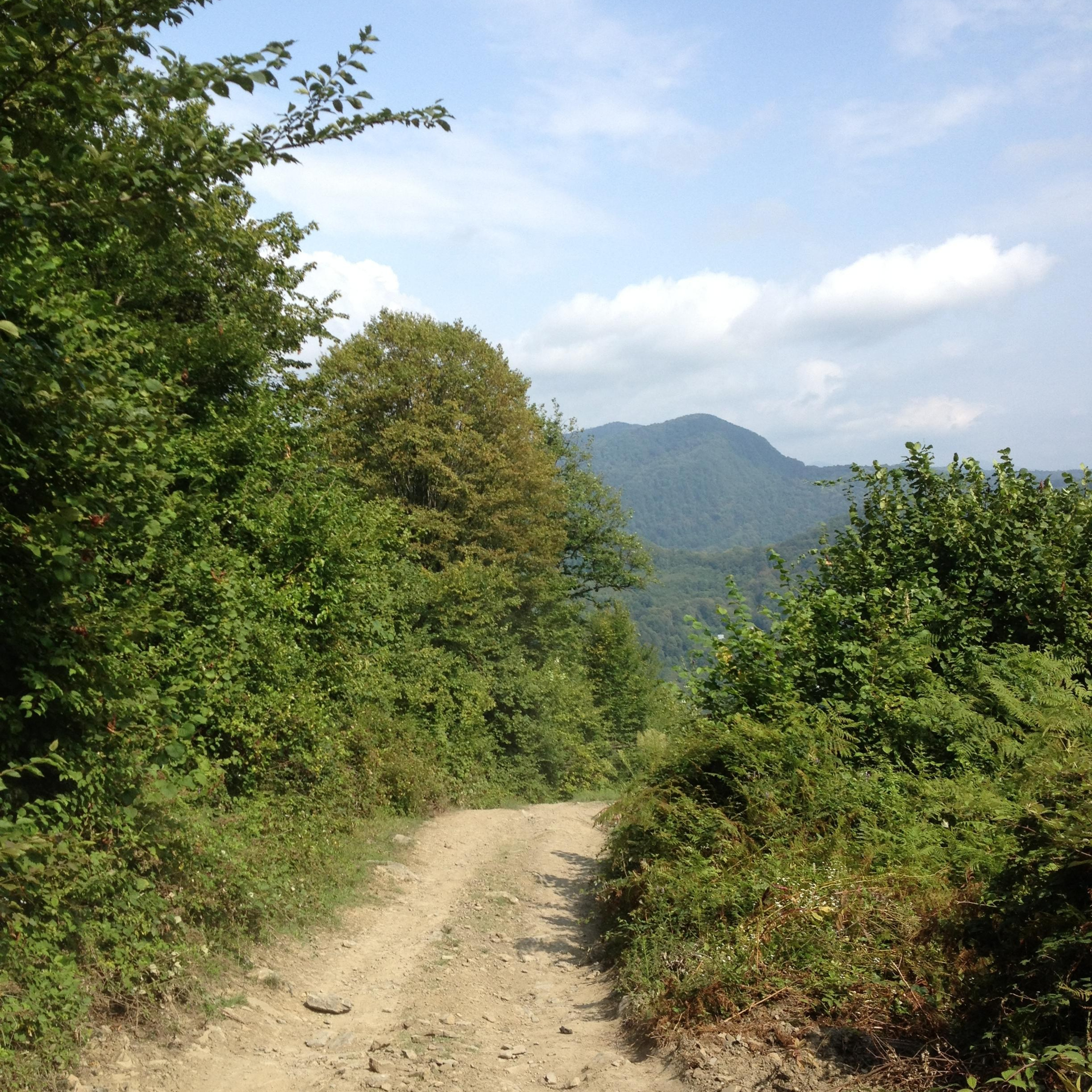 Лоо. Своя Мастерская