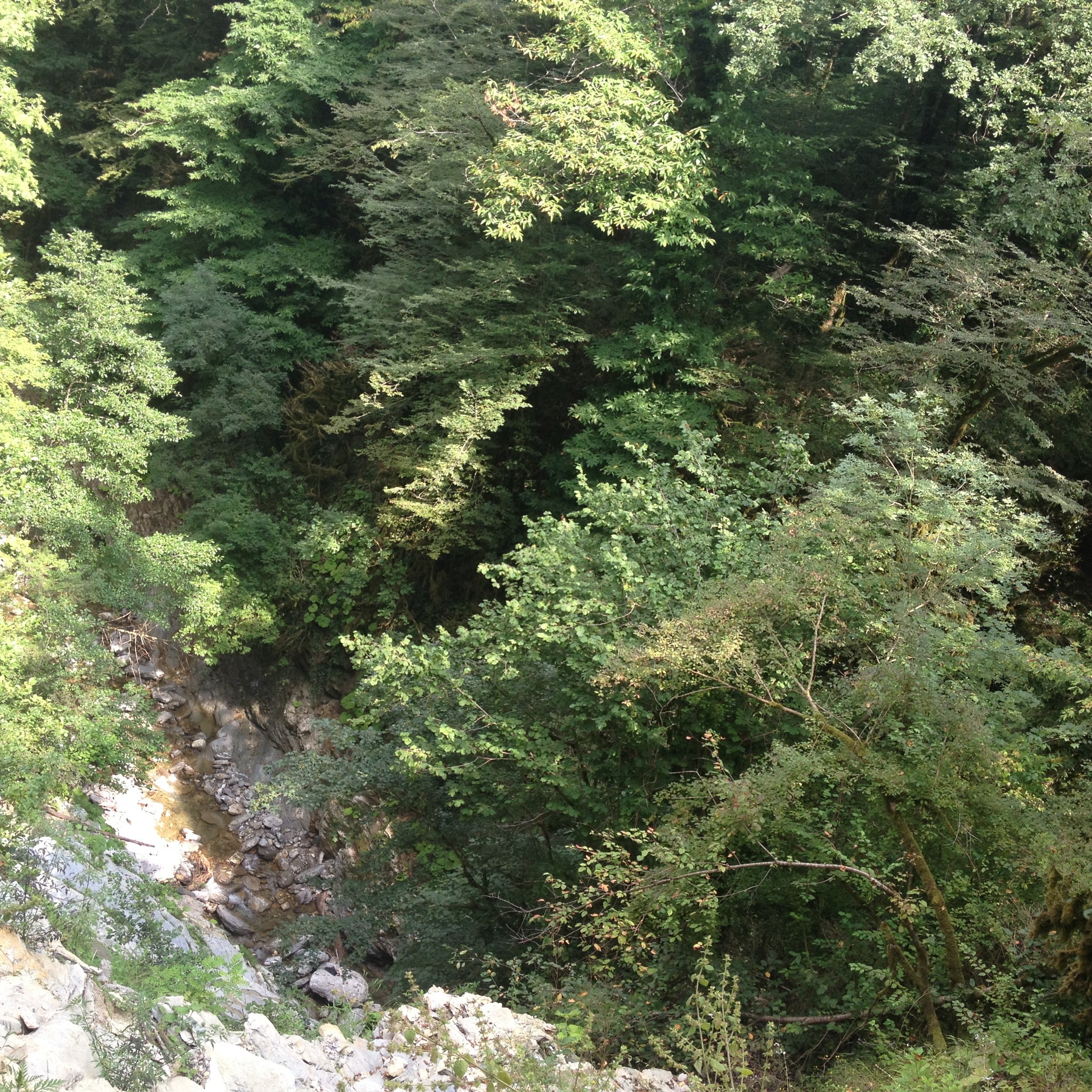 Лоо. Своя Мастерская